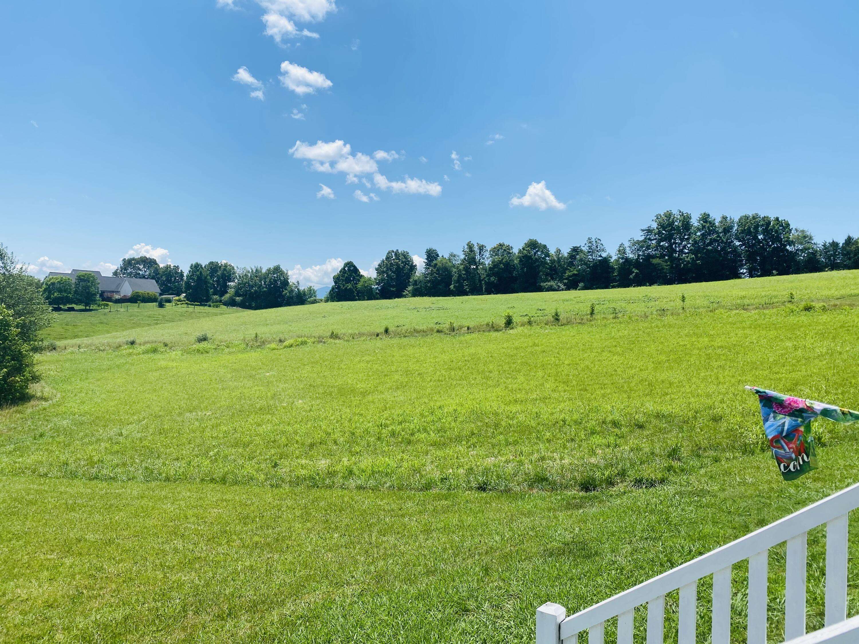 Tellico Plains, TN 37385,135 Wilson CIR