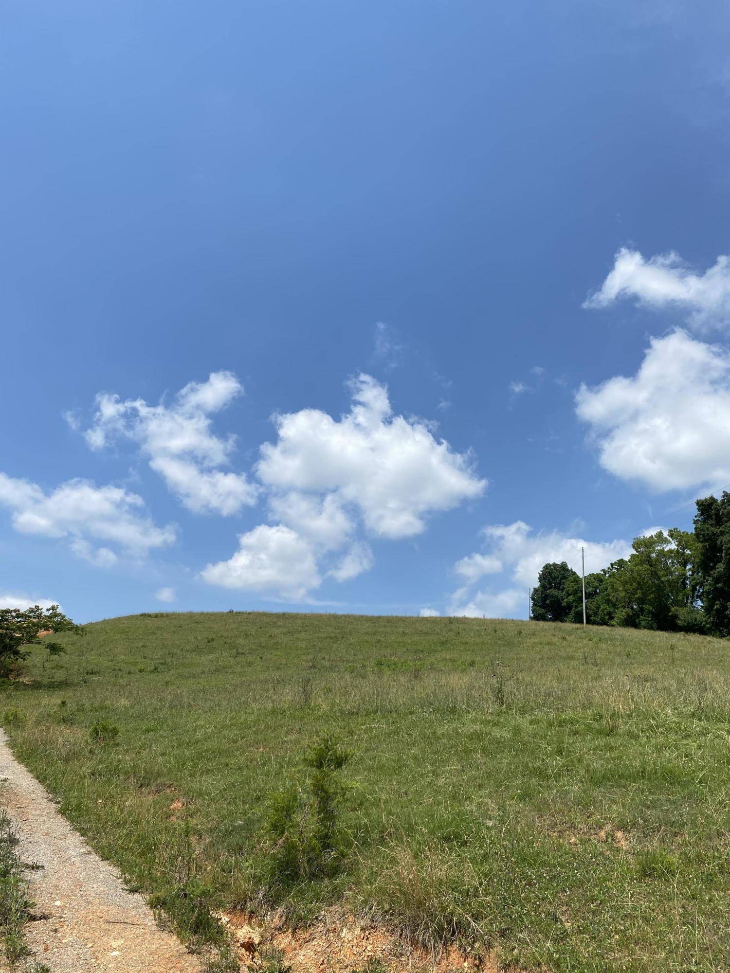 New Tazewell, TN 37825,Williams lane