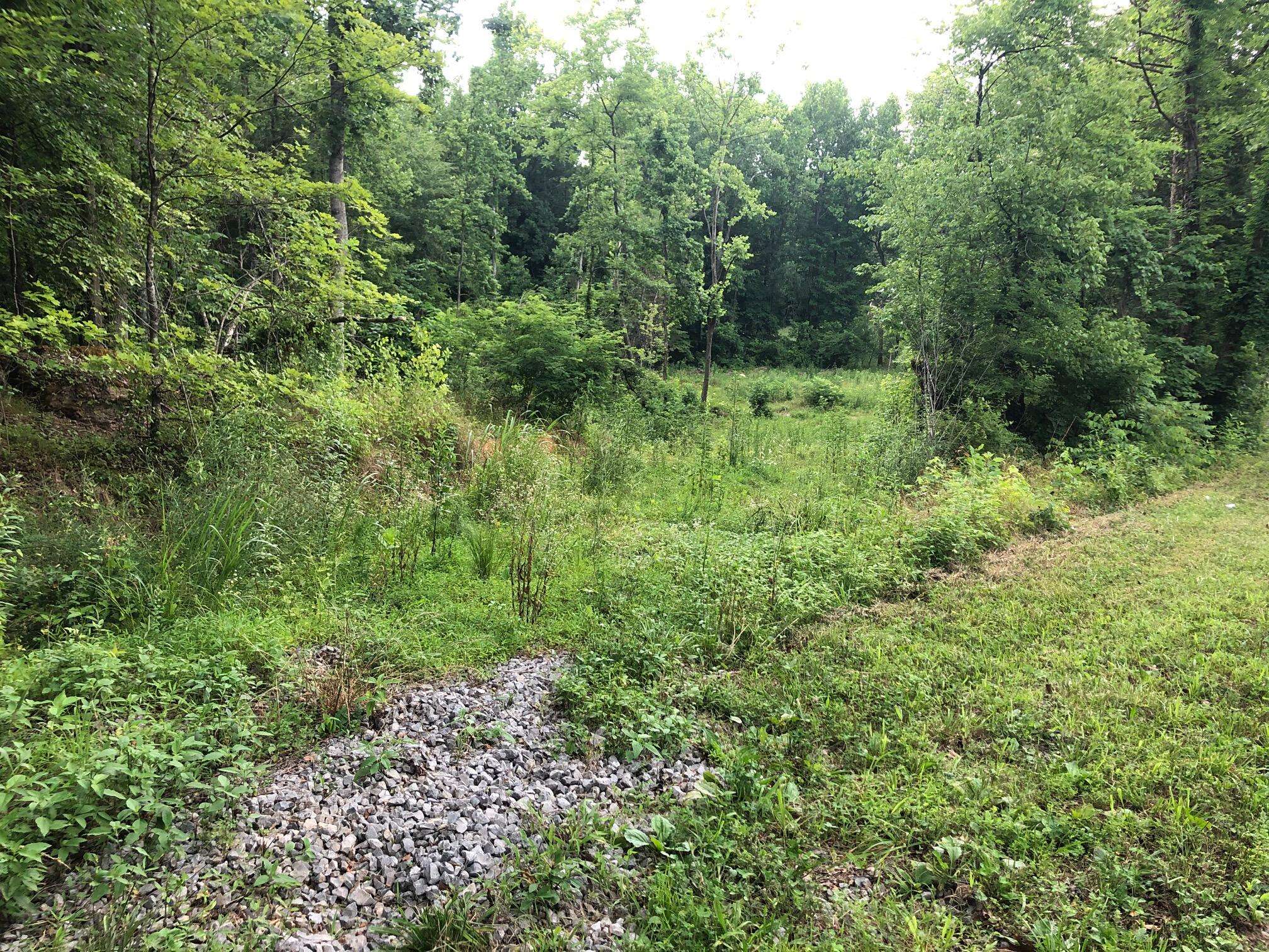 Athens, TN 37303,Lot 2 Co Rd 675