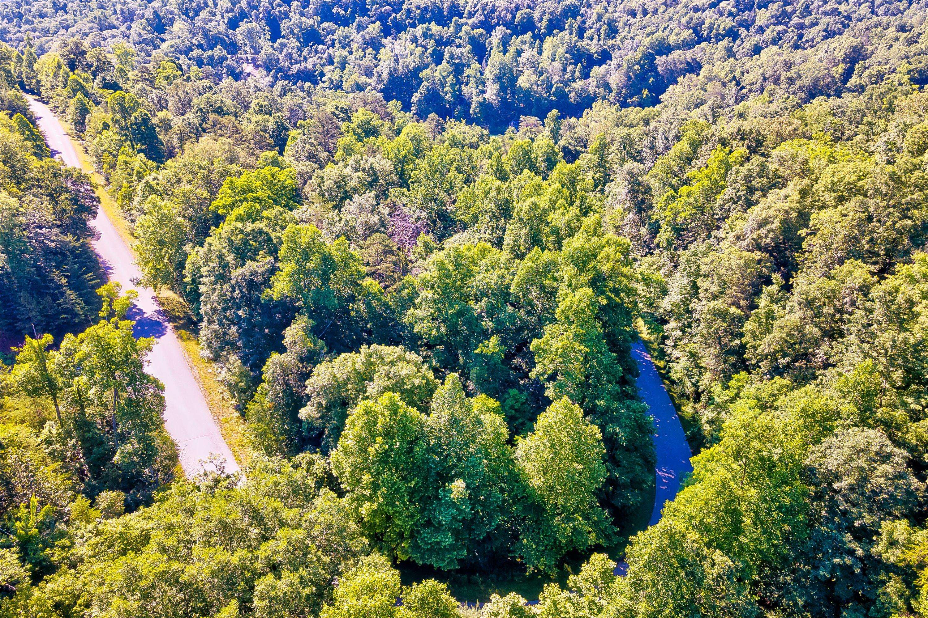 Jacksboro, TN 37757,Lot 1 Windsor LN