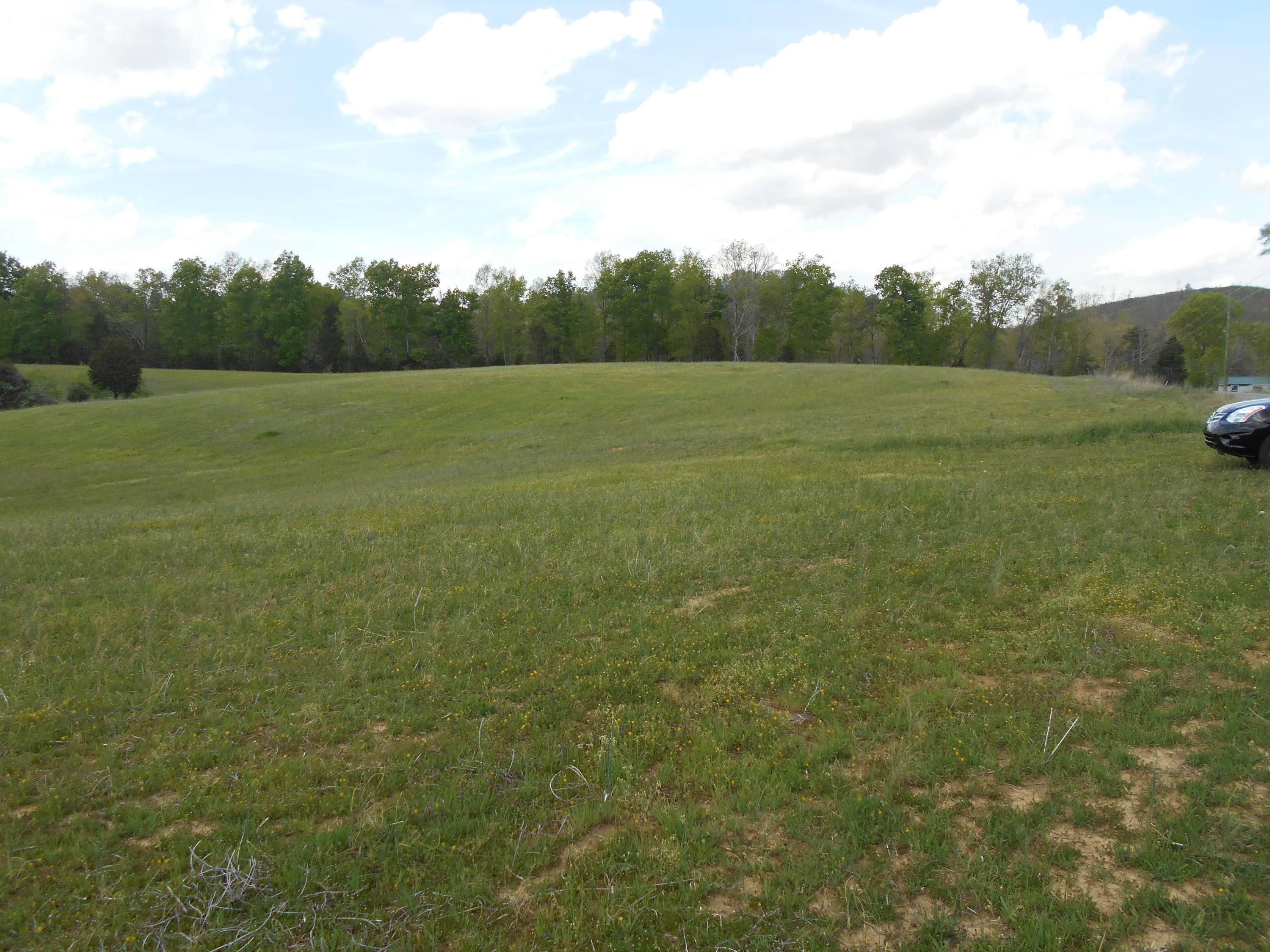 Tellico Plains, TN 37385,Lot # 1 Gamble Gap Rd