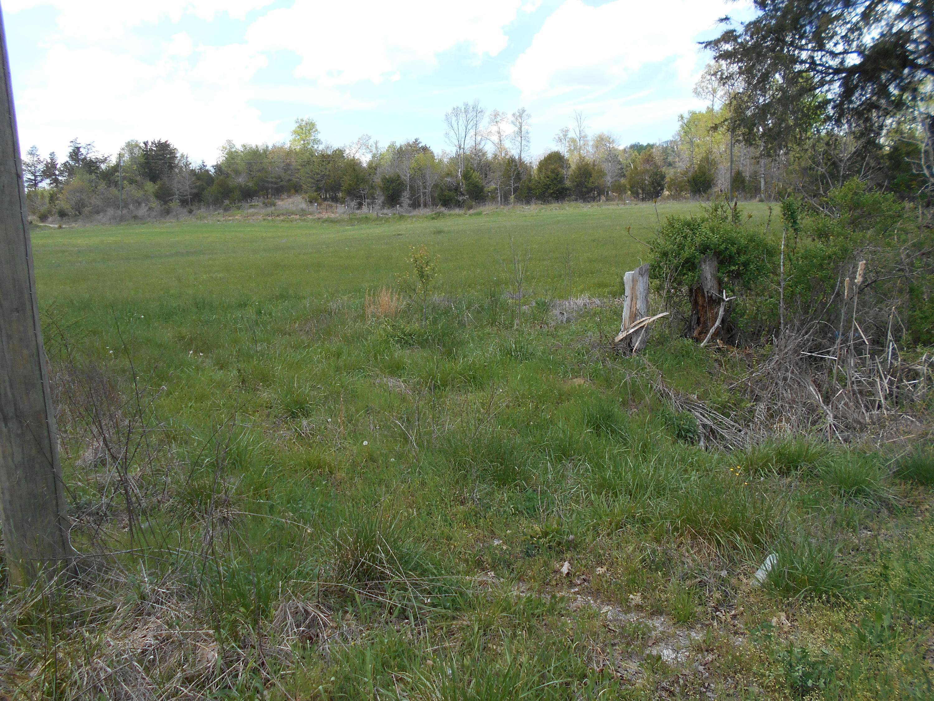 Tellico Plains, TN 37385,Lot # 1 Gamble Gap Rd