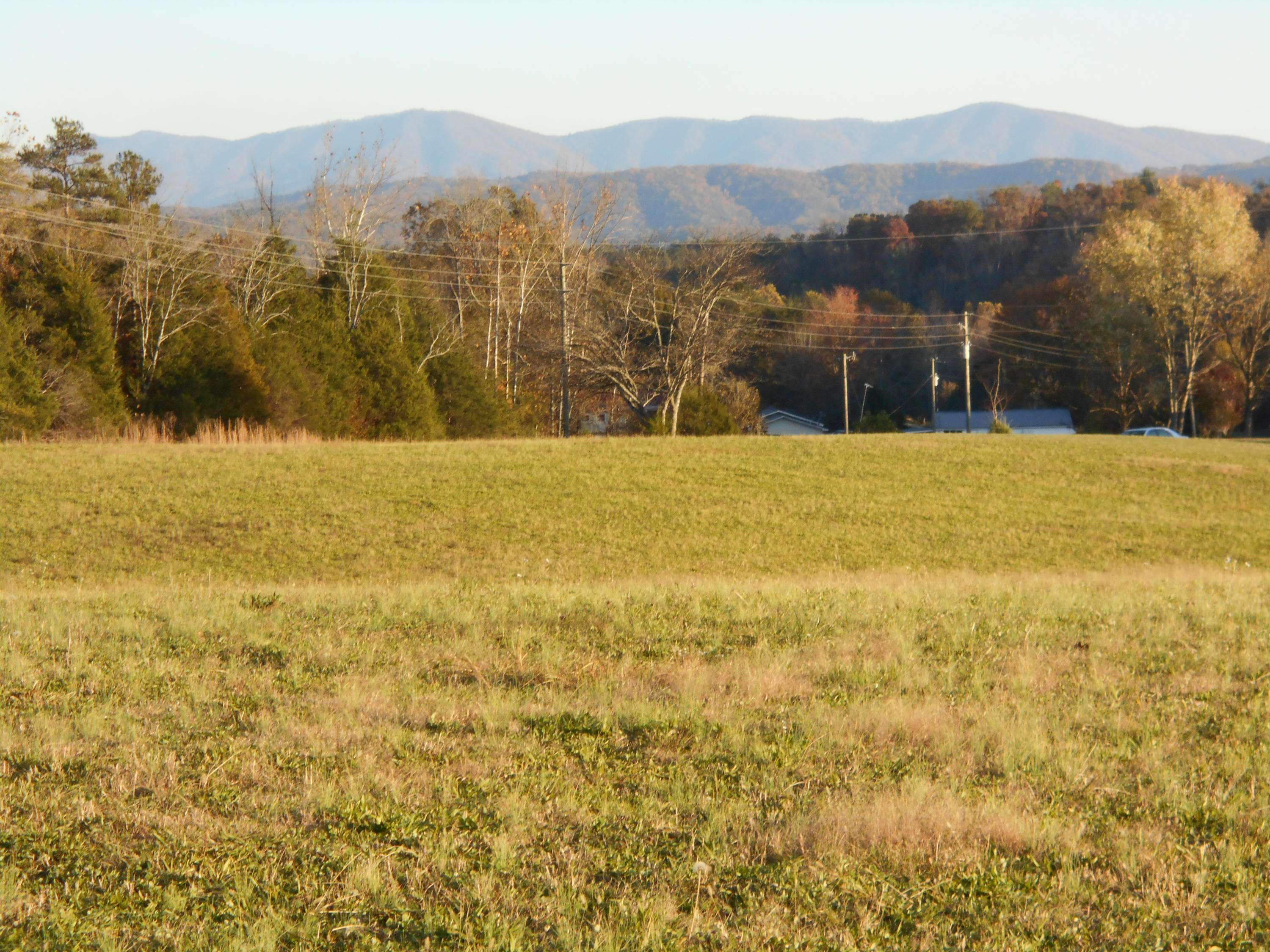 Tellico Plains, TN 37385,lot # 6 Shadden Rd