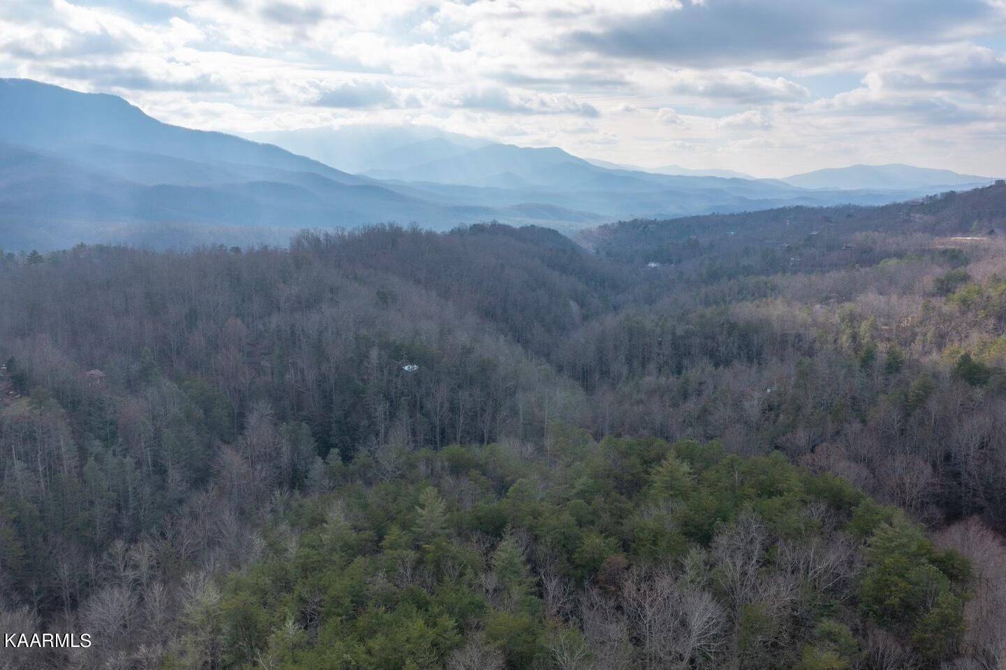 Gatlinburg, TN 37738,Butler Branch Rd