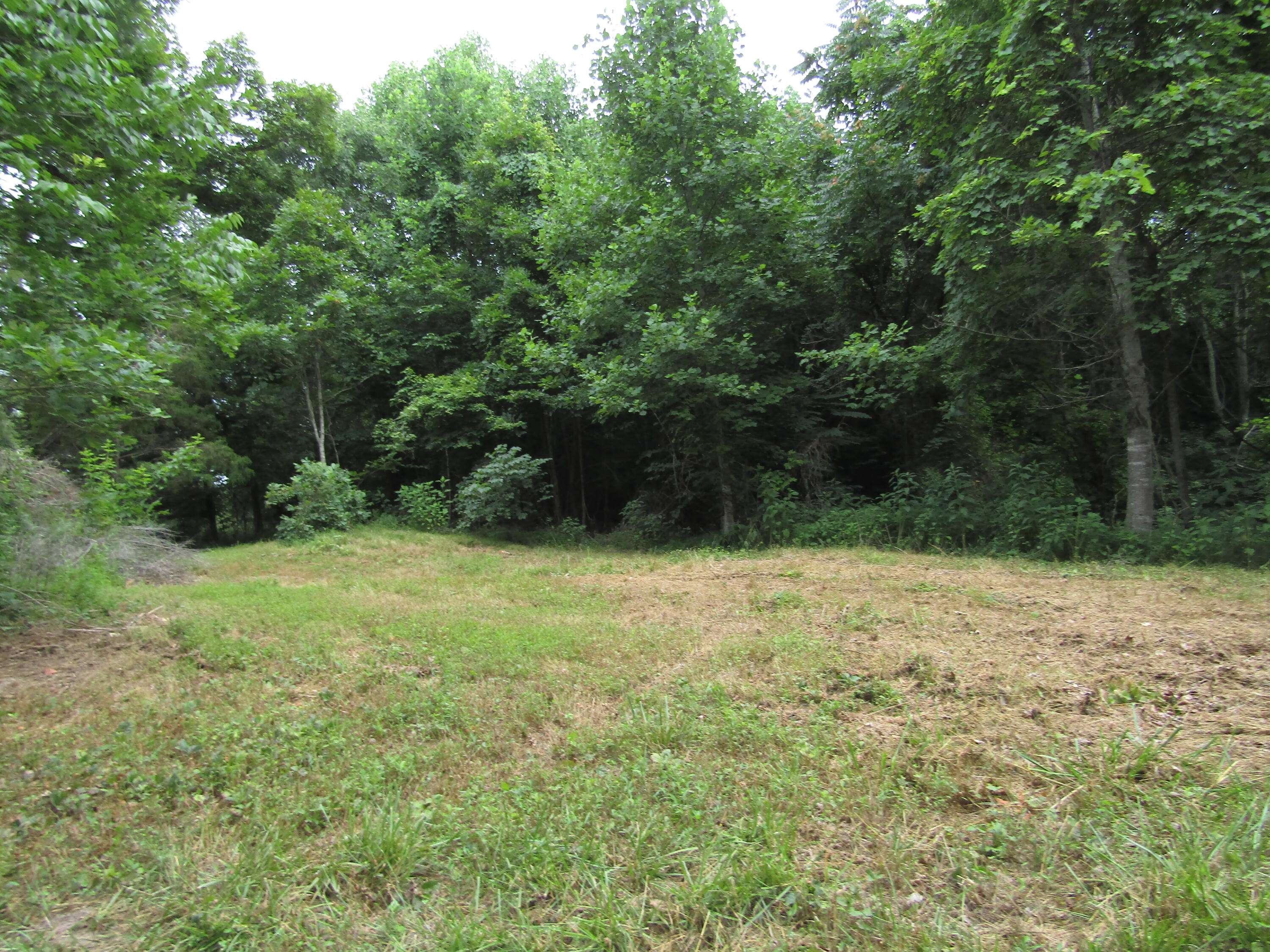 Hilham, TN 38568,Tick Rd