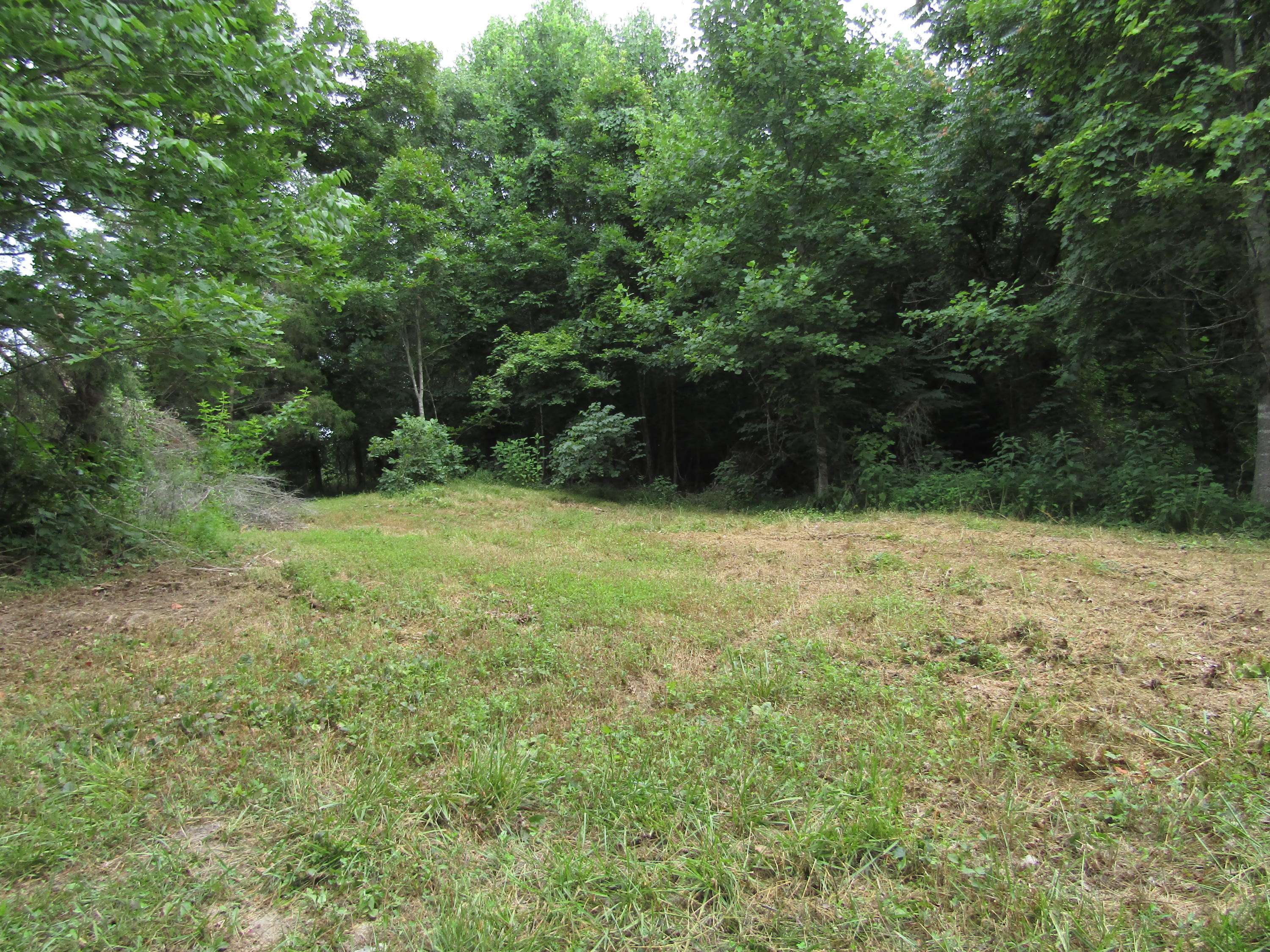 Hilham, TN 38568,Tick Rd