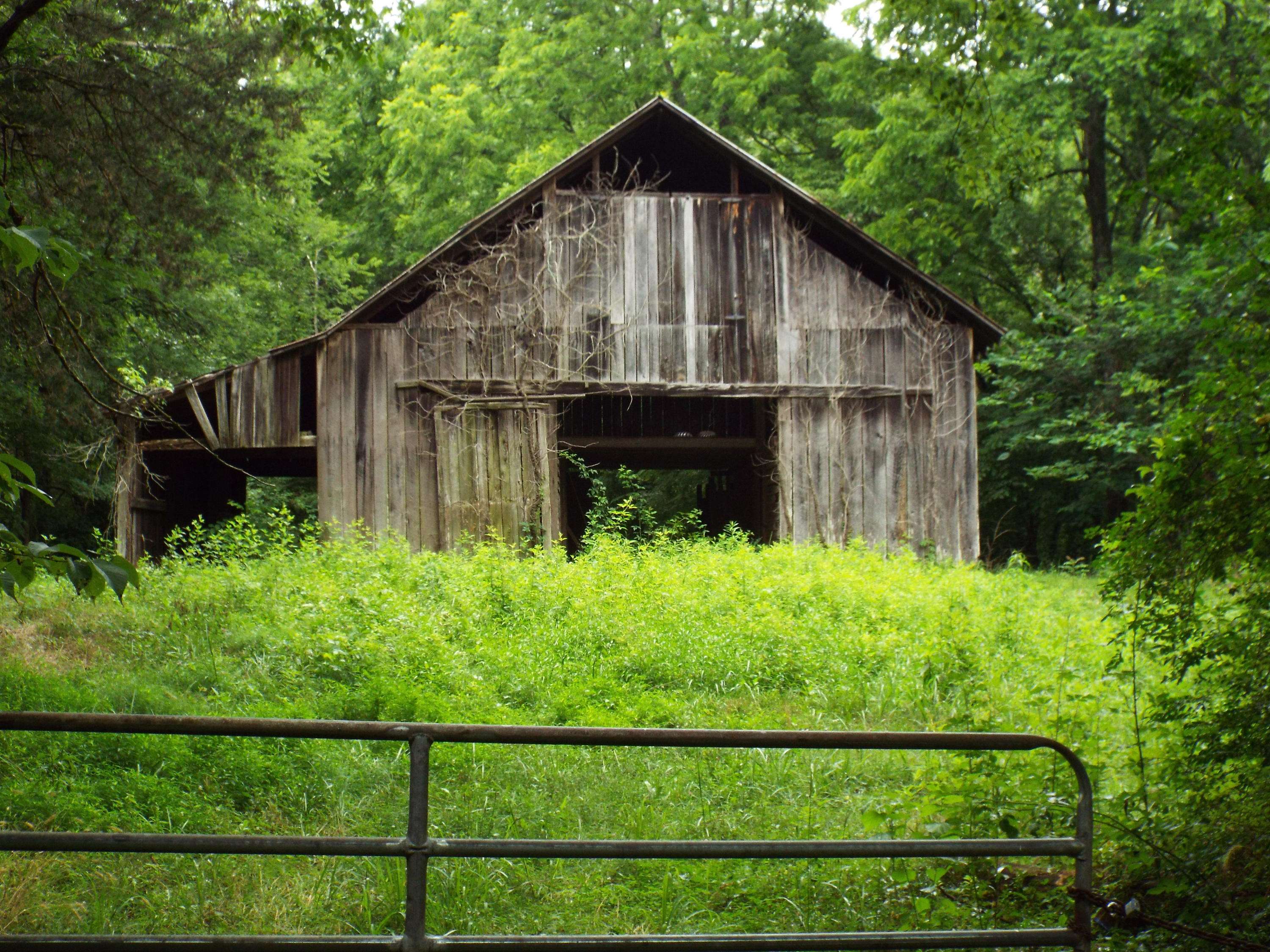 Tellico Plains, TN 37385,Hunt Coppenger Rd