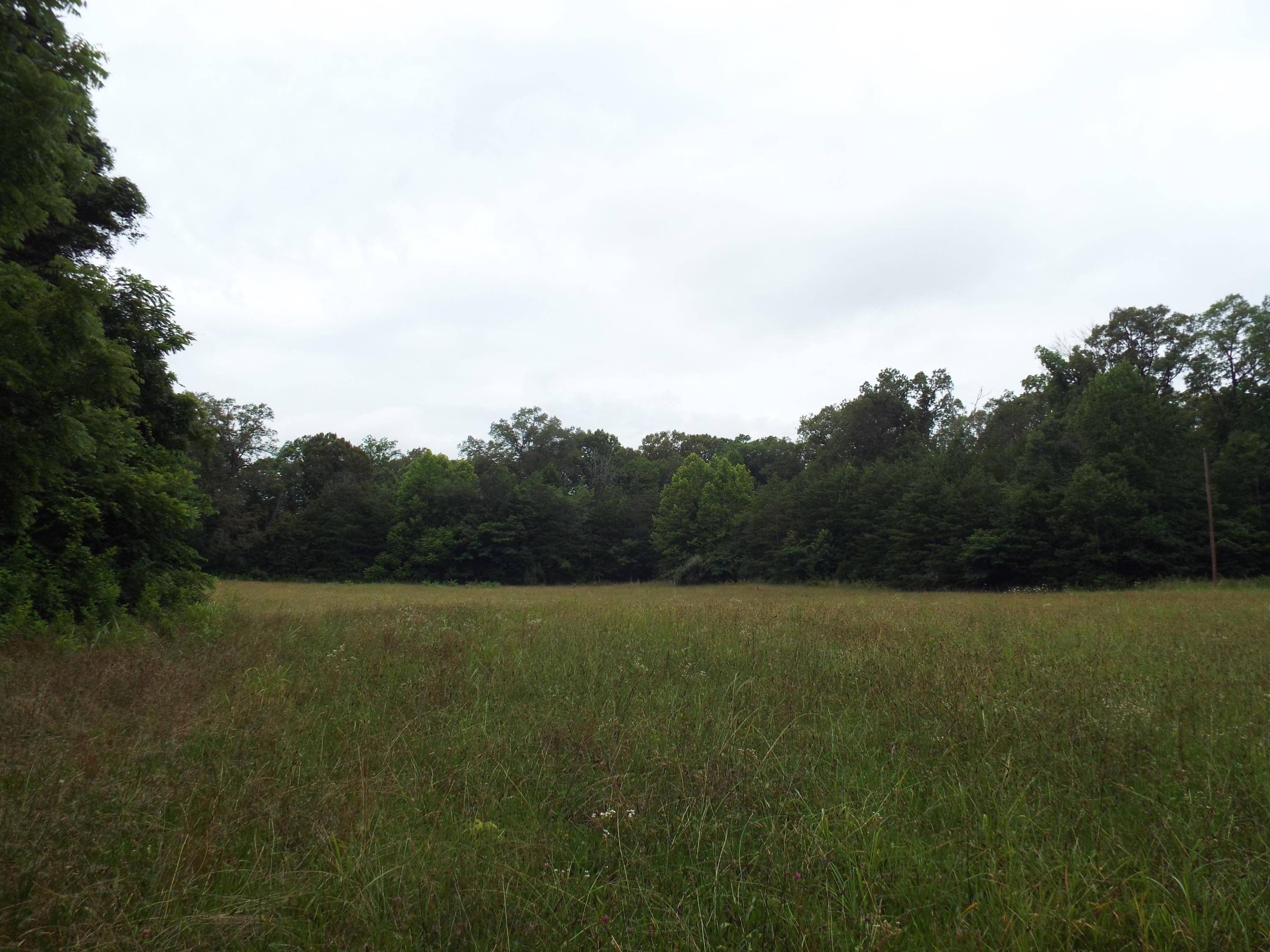 Tellico Plains, TN 37385,Hunt Coppenger Rd