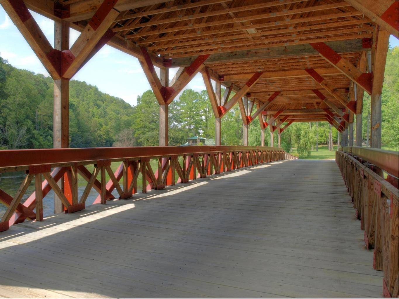 Tellico Plains, TN 37385,264 Rafter Rd