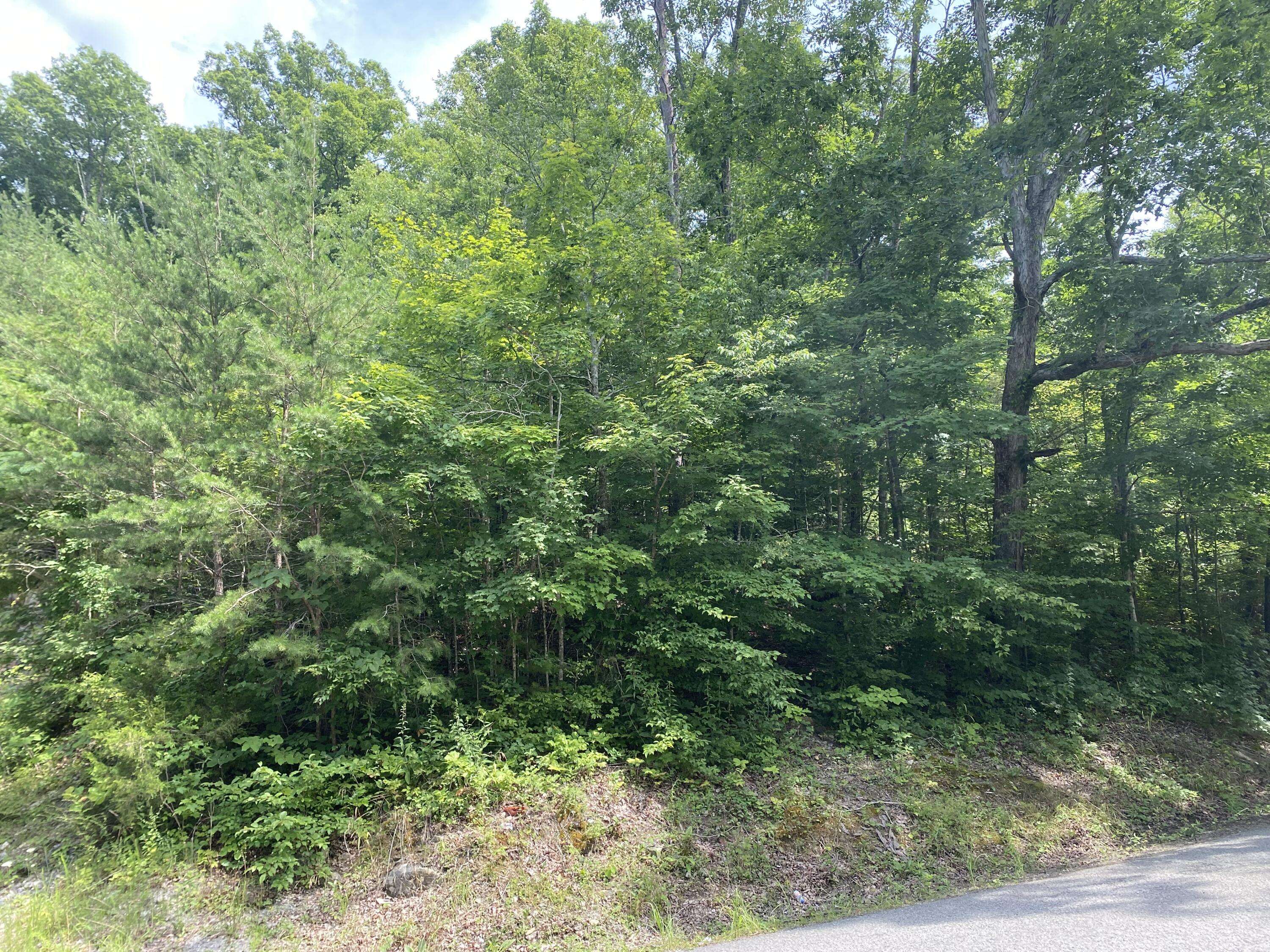 Lafollette, TN 37729,Lake Drive Lot #4