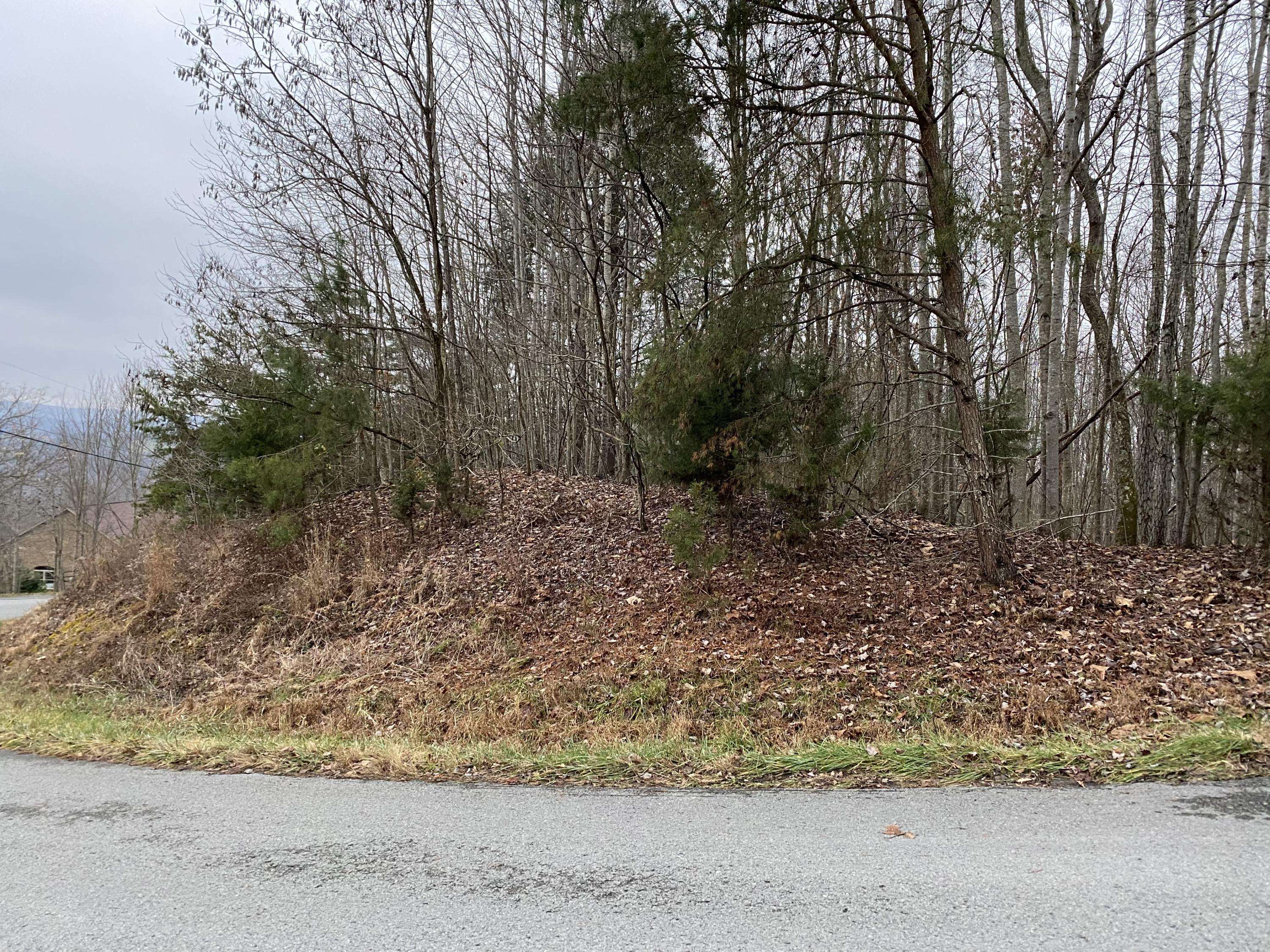 New Tazewell, TN 37825,Lot 108 Chimney Rock Rd Rd