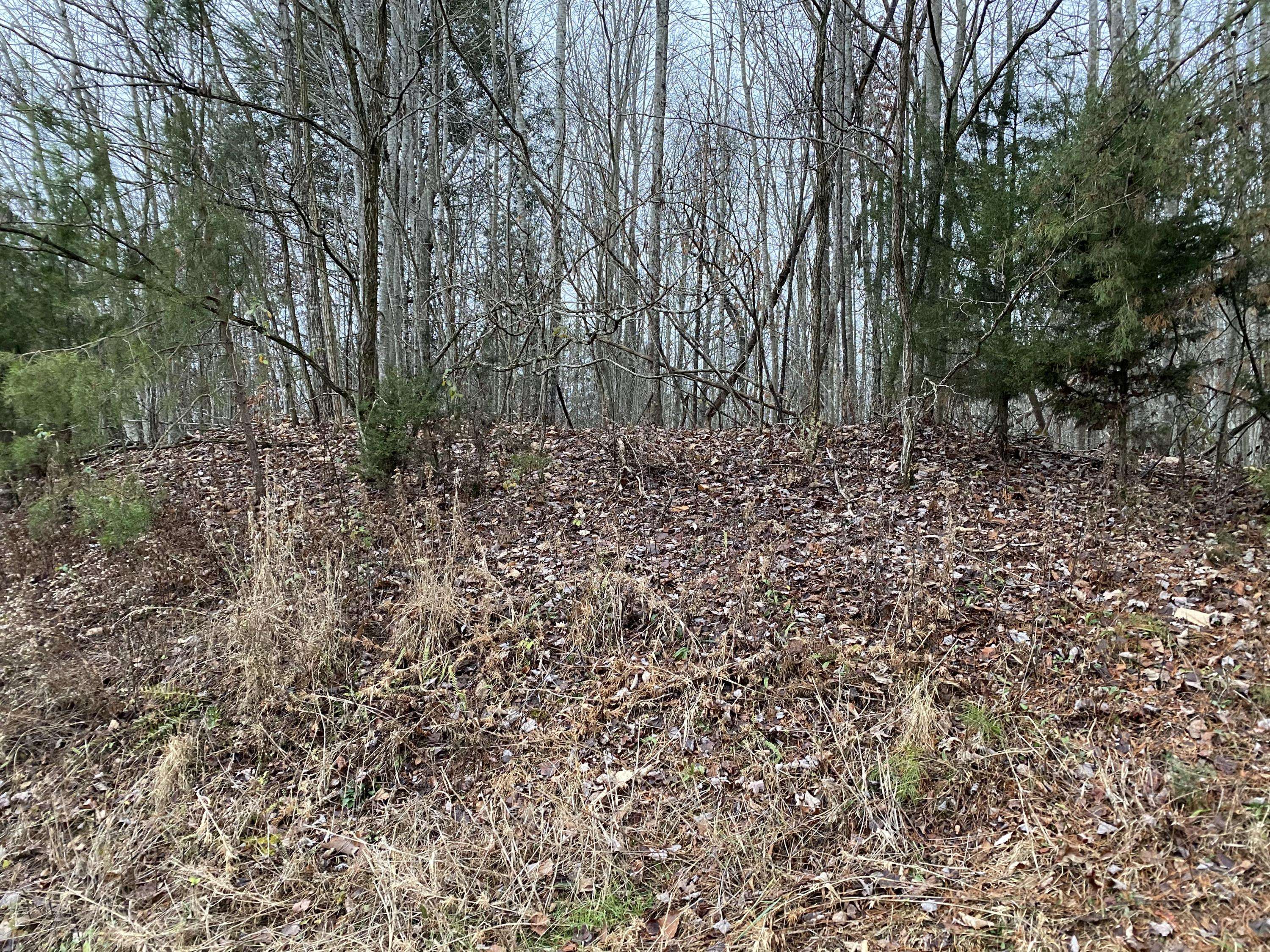 New Tazewell, TN 37825,Lot 108 Chimney Rock Rd Rd