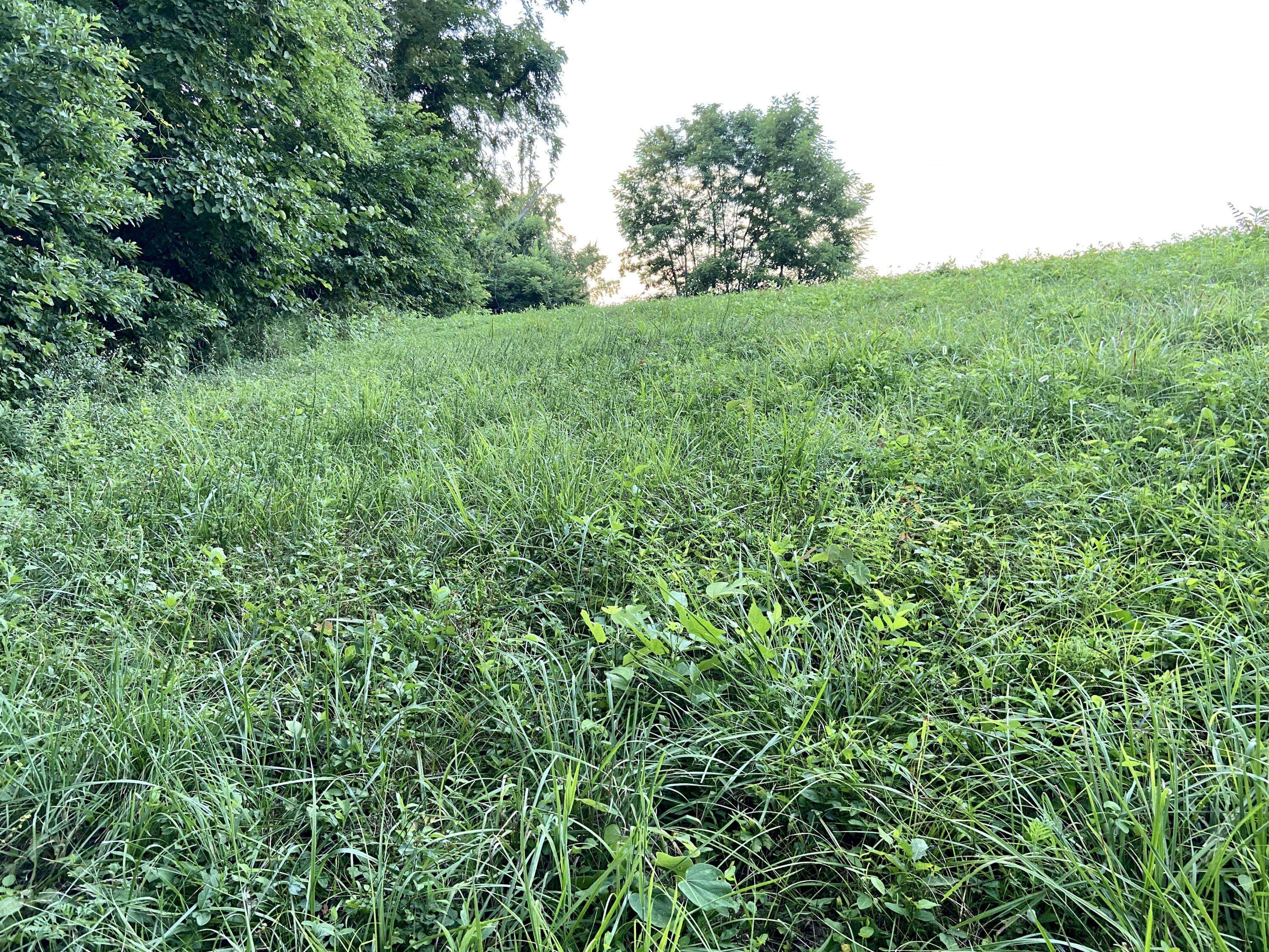 New Tazewell, TN 37825,Lot 227 Jade LN