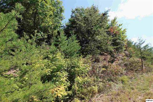 Sevierville, TN 37876,Lot 60 Mountain Ash Way