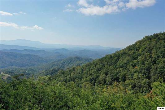 Sevierville, TN 37876,Lot 60 Mountain Ash Way