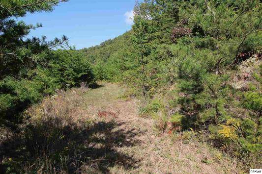 Sevierville, TN 37876,Lot 60 Mountain Ash Way