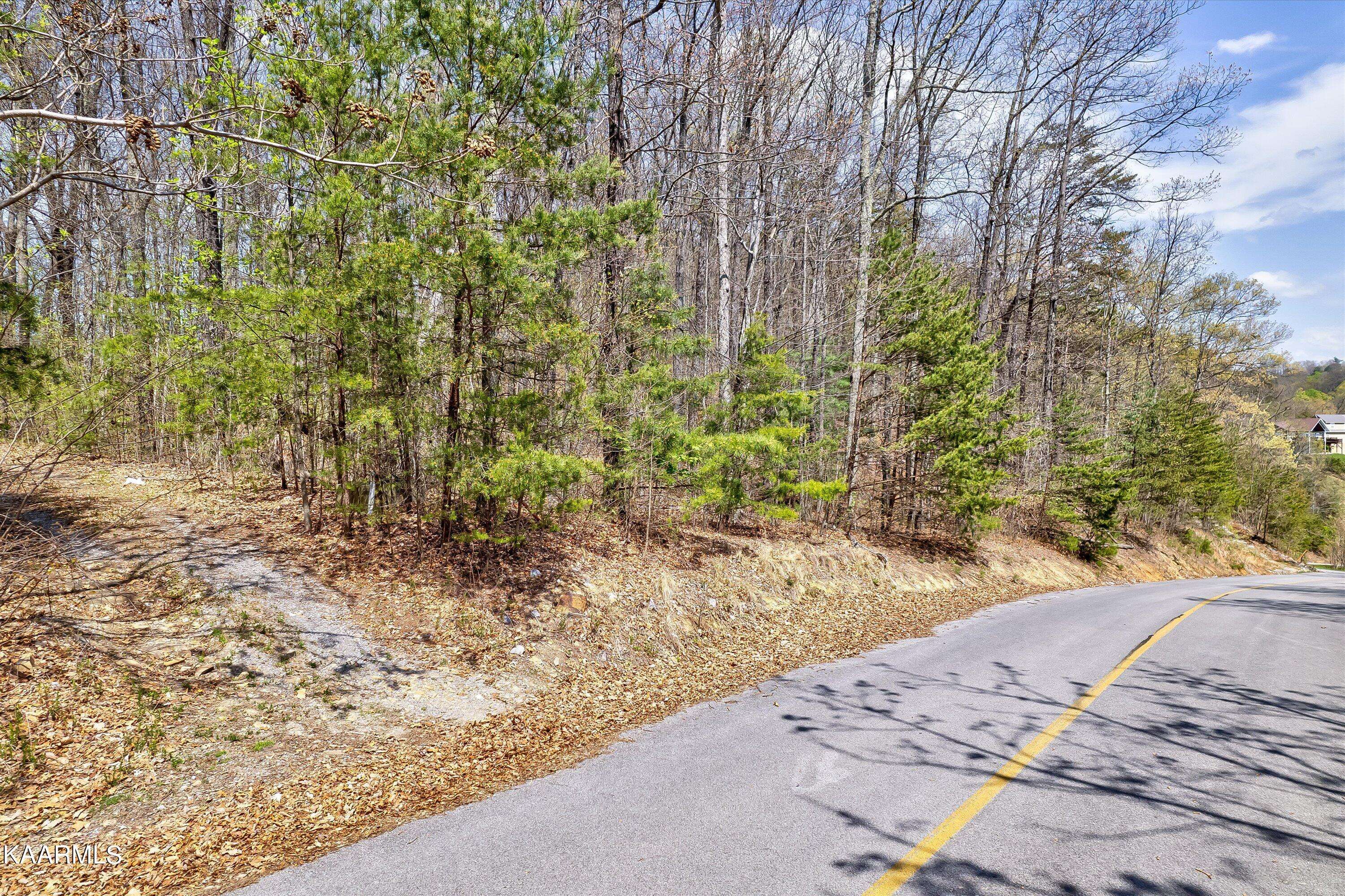 Sevierville, TN 37862,Lot 125E Settlers View LN