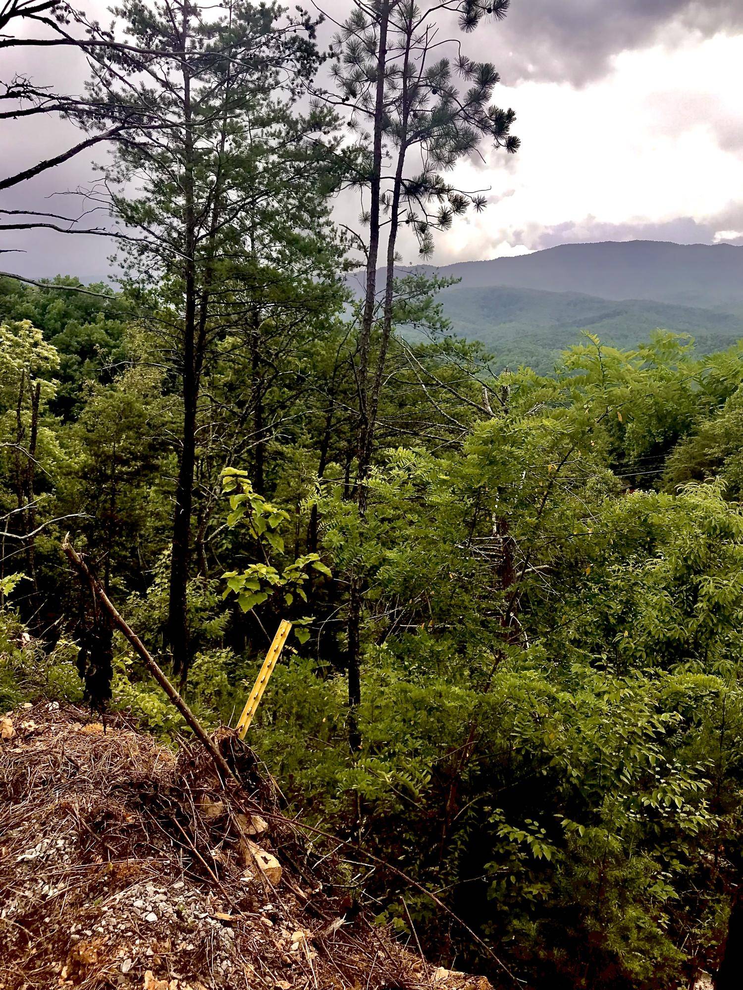 Gatlinburg, TN 37738,Lot 312R Duck Hollow Road