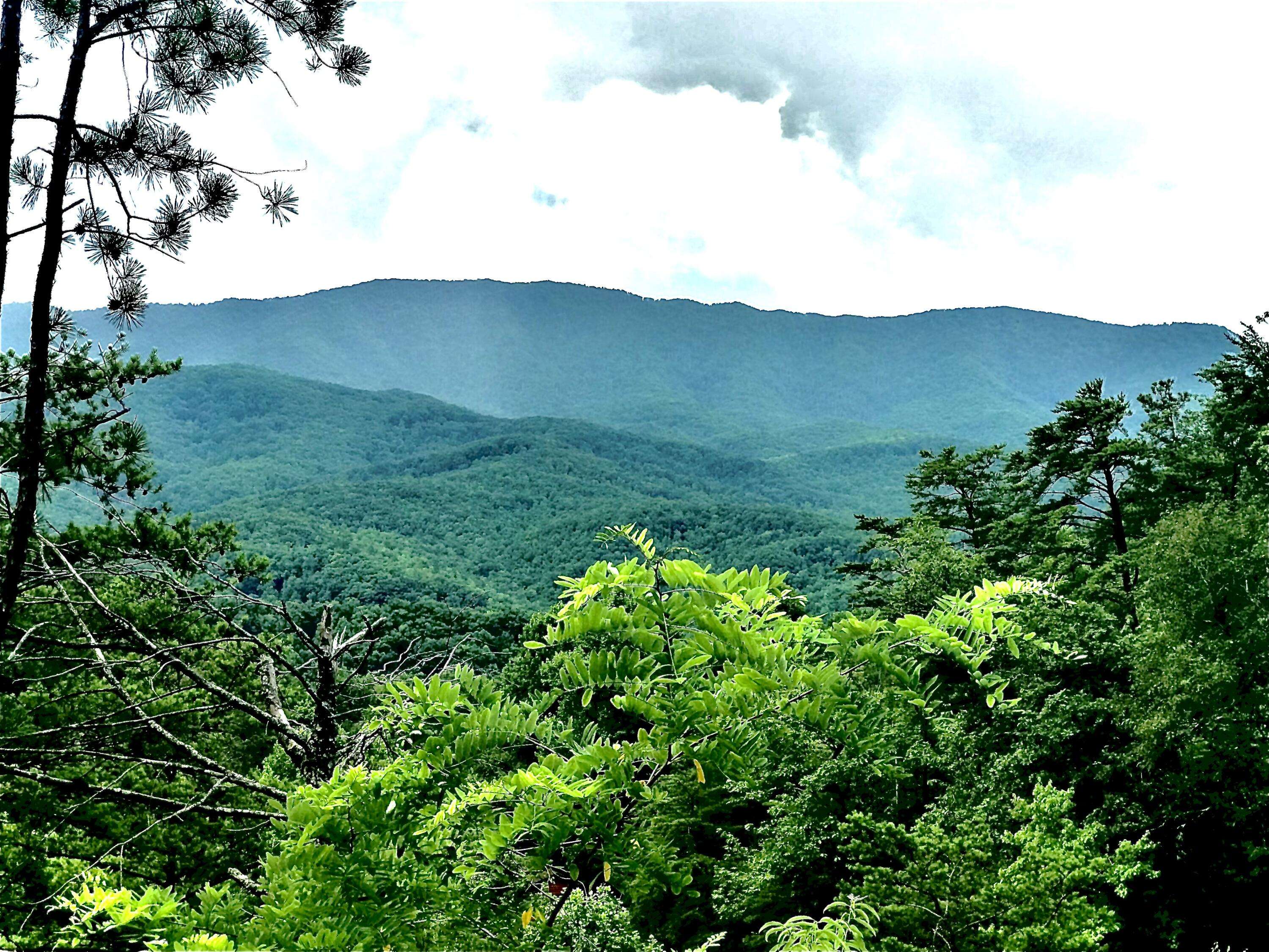 Gatlinburg, TN 37738,Lot 312R Duck Hollow Road