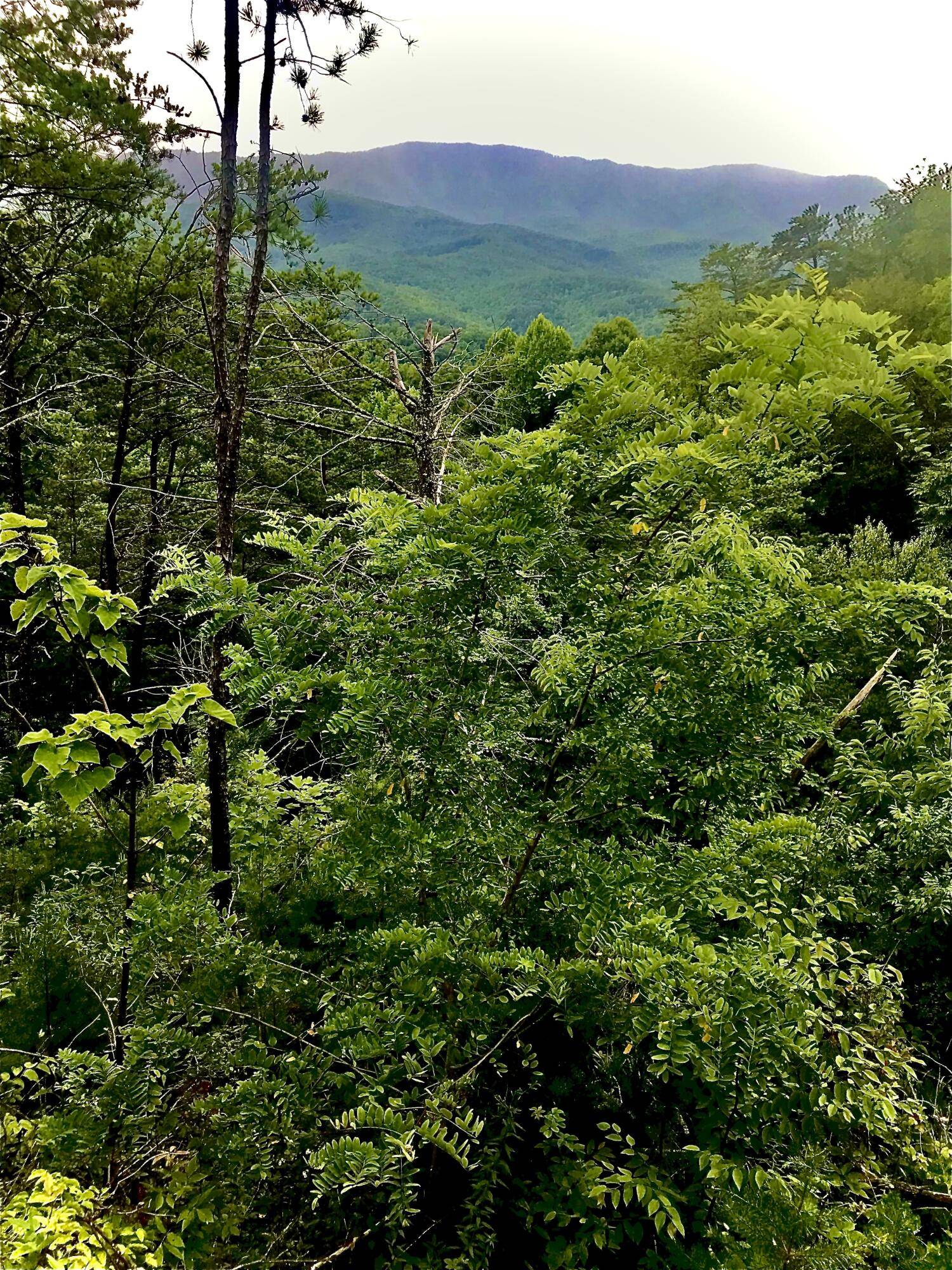 Gatlinburg, TN 37738,Lot 312R Duck Hollow Road