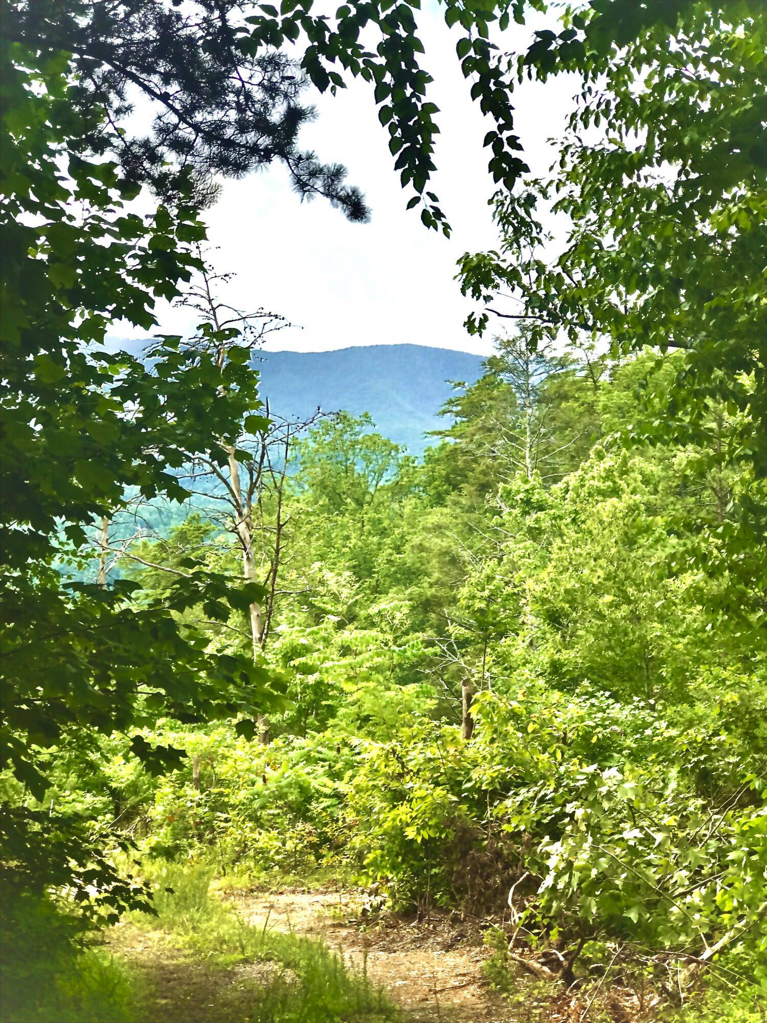 Gatlinburg, TN 37738,Lot 312R Duck Hollow Road