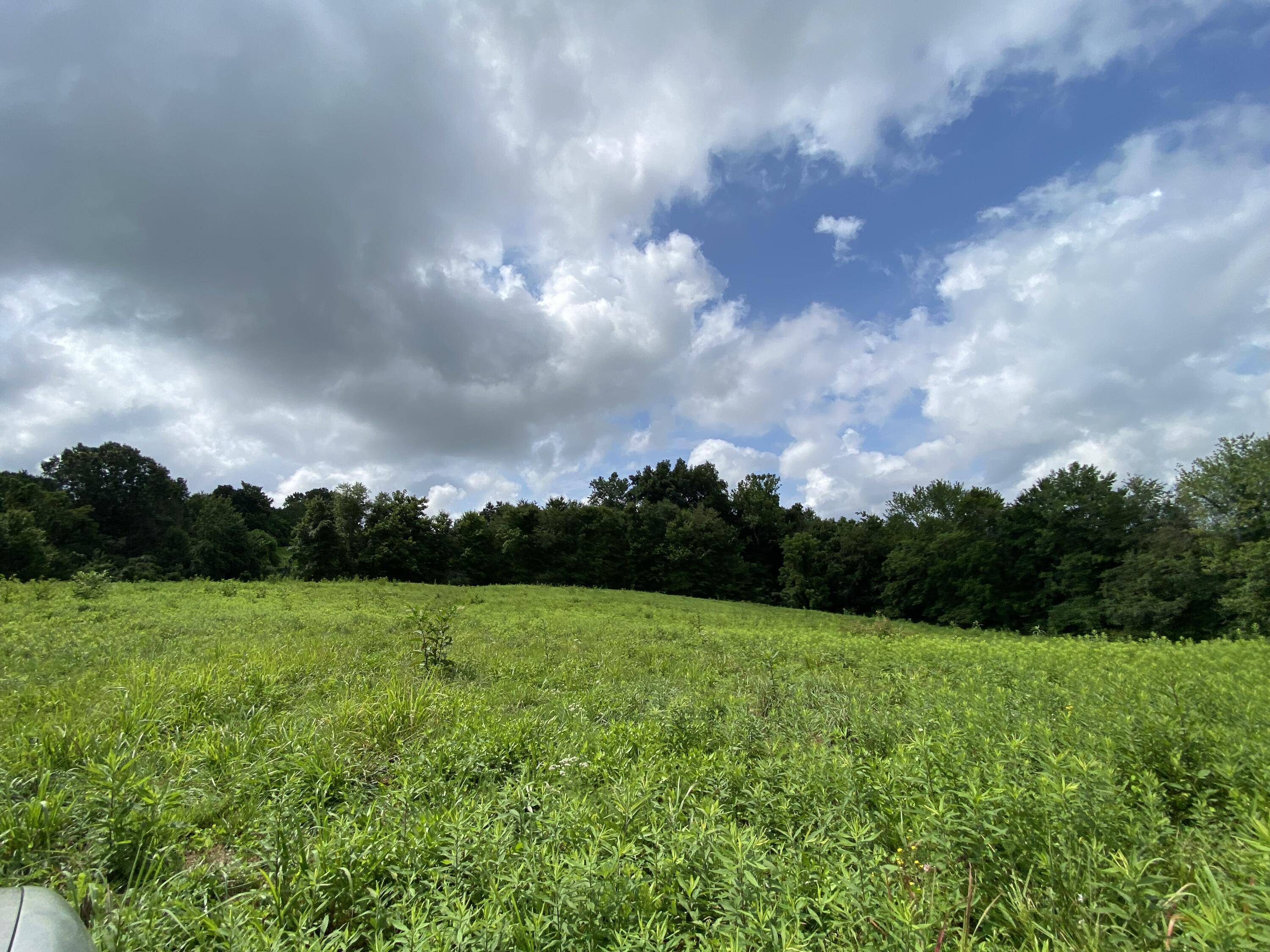 Speedwell, TN 37870,Dividing Ridge Rd