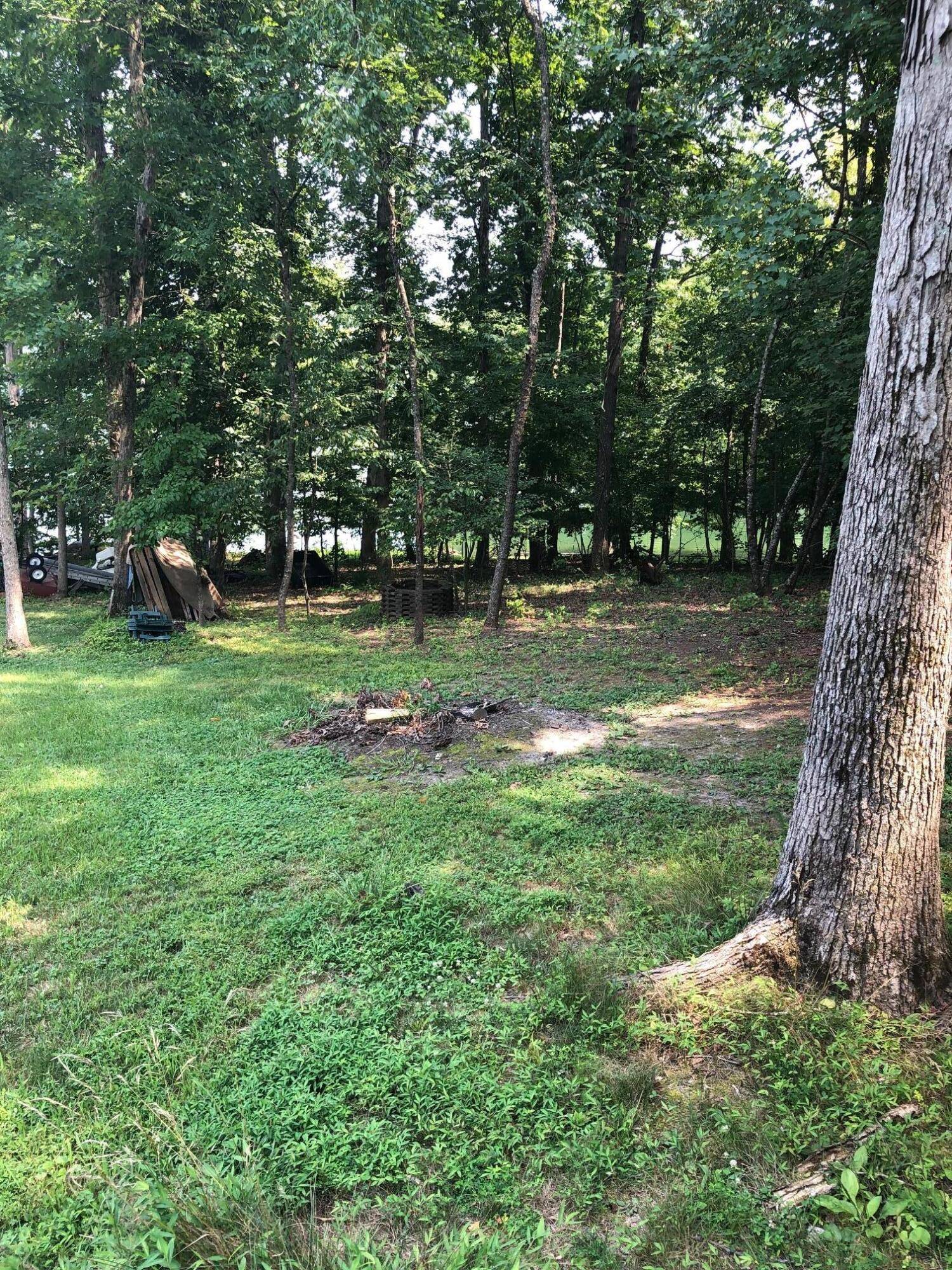 Ten Mile, TN 37880,Nodding Pines WAY