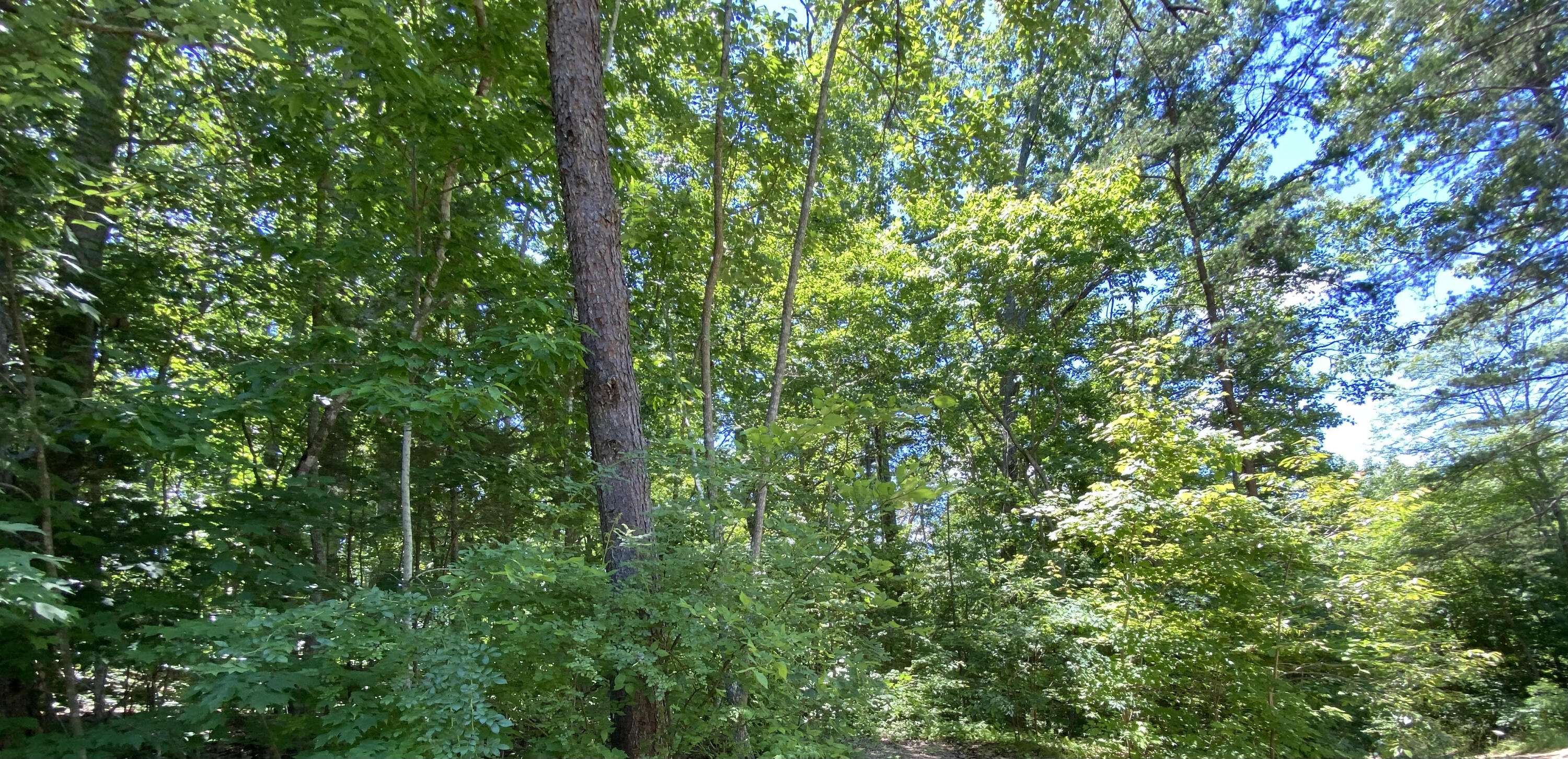 Keokee, VA 24265,State Rd 625