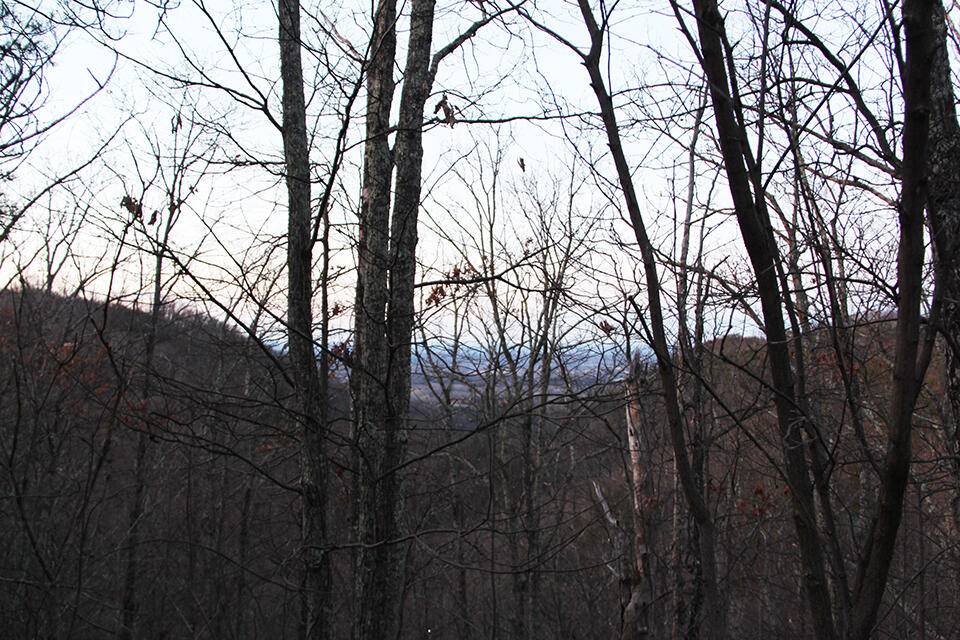 Sevierville, TN 37876,Lot 118 McInturf WAY