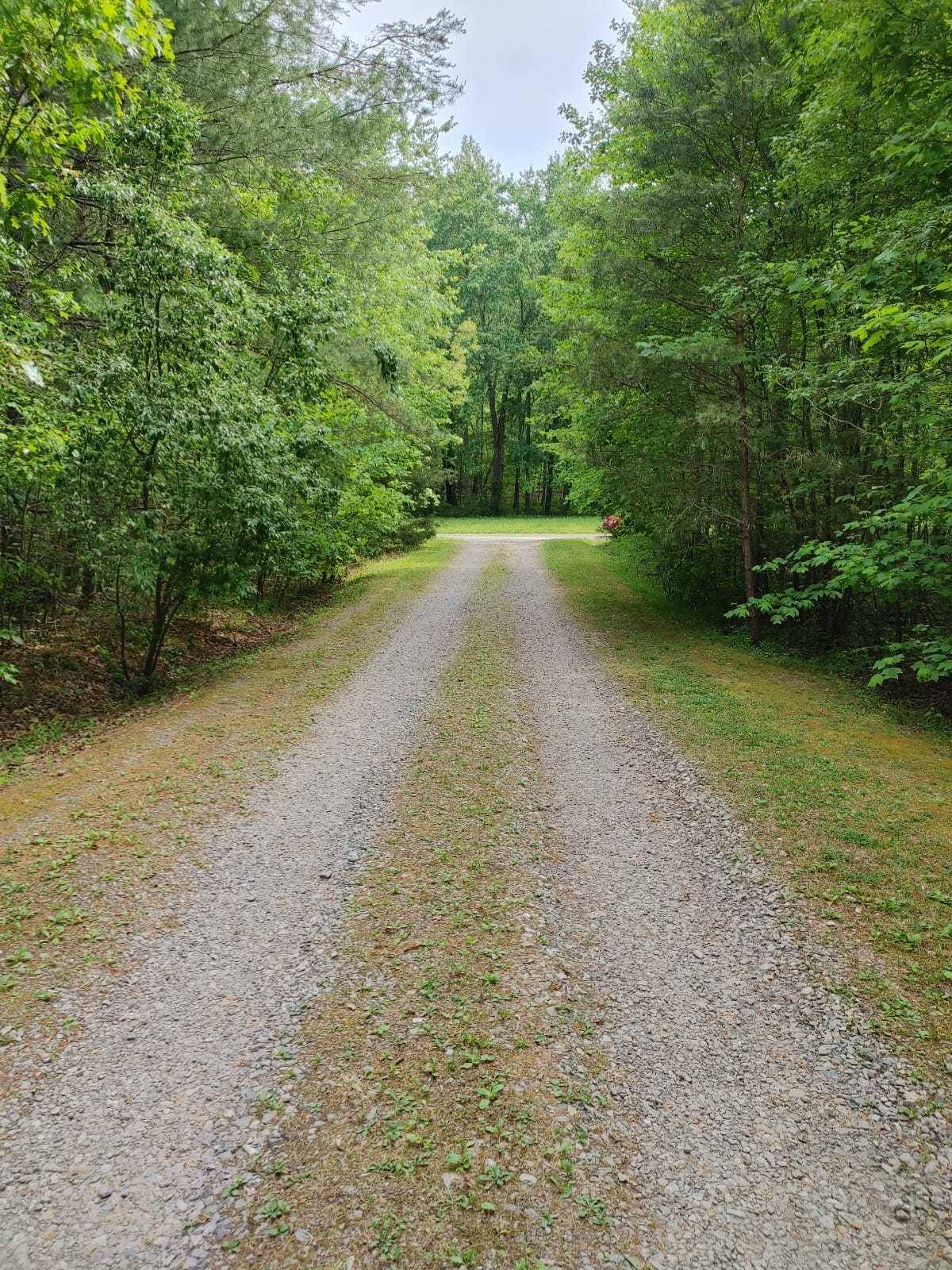 Tellico Plains, TN 37385,175 Massingale Rd