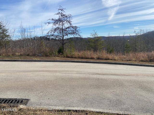 Harriman, TN 37748,313 Caney View DR