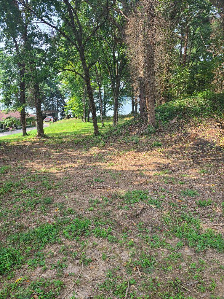 Rockwood, TN 37854,Lot 11R Phillips DR