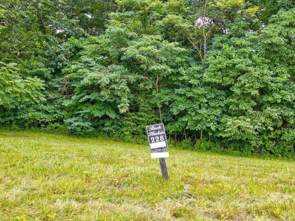 New Tazewell, TN 37825,Lot 228 Jade LN