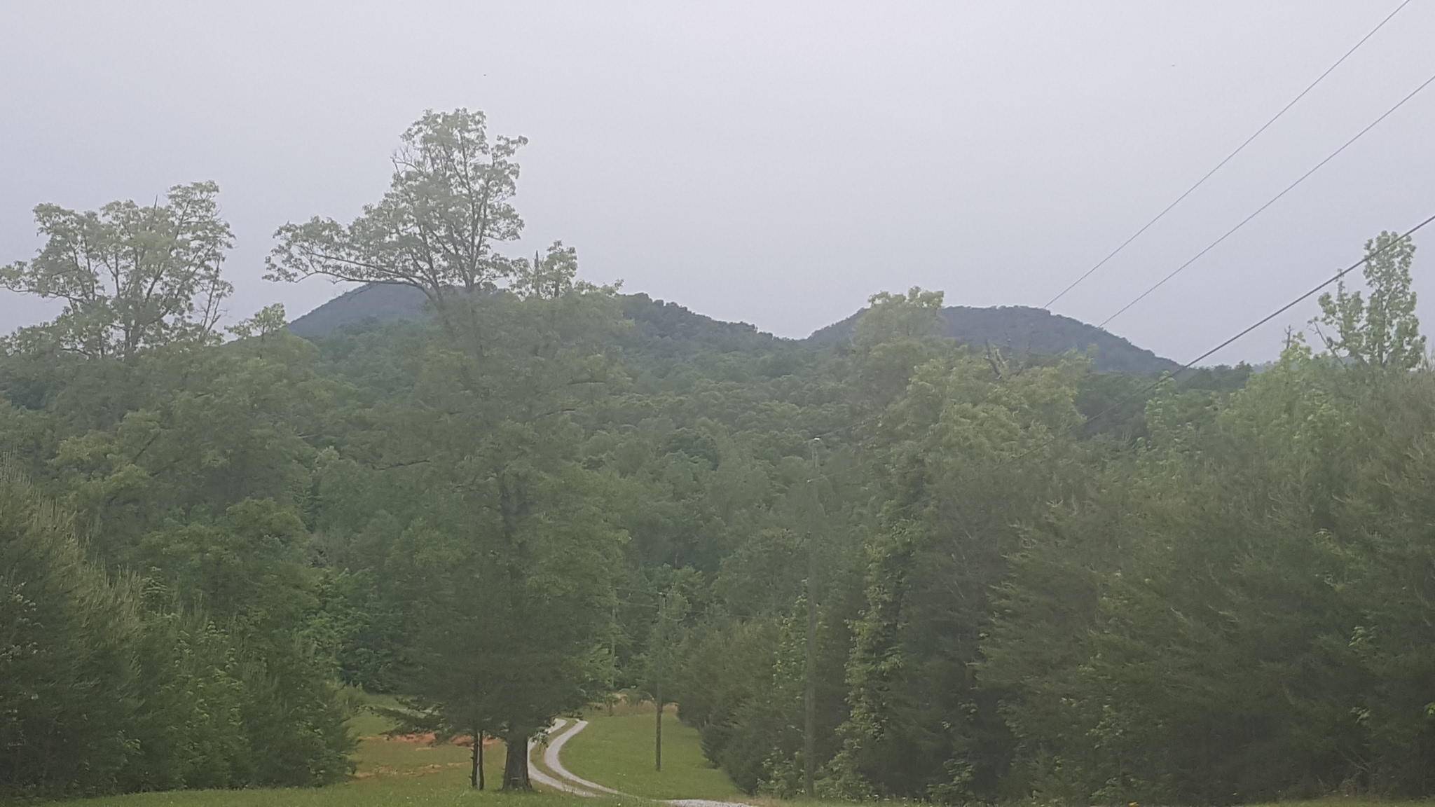 Tellico Plains, TN 37385,Williams Rd