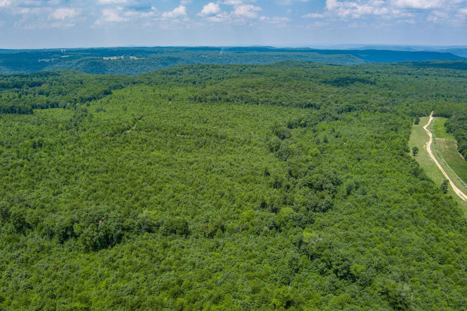 Spencer, TN 38585,54.43 AC Goforth Rd