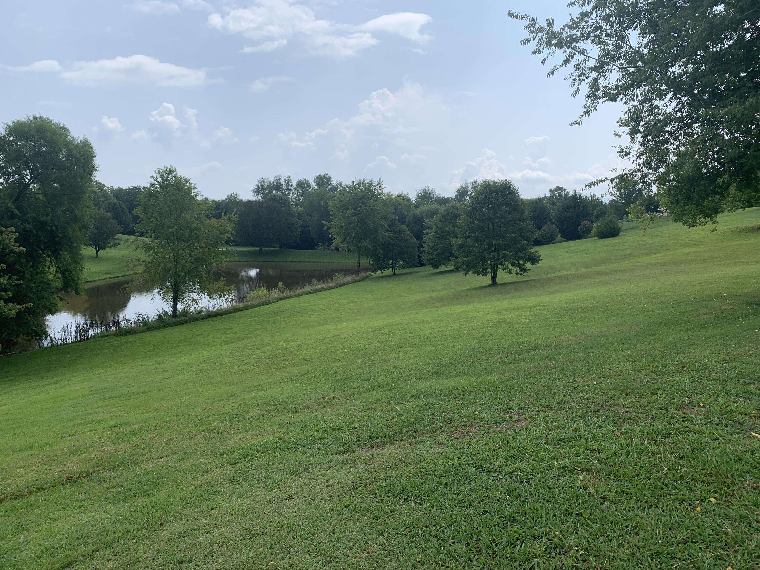 Dandridge, TN 37725,Lot 24 Pheasant Crossing (lot 24) DR