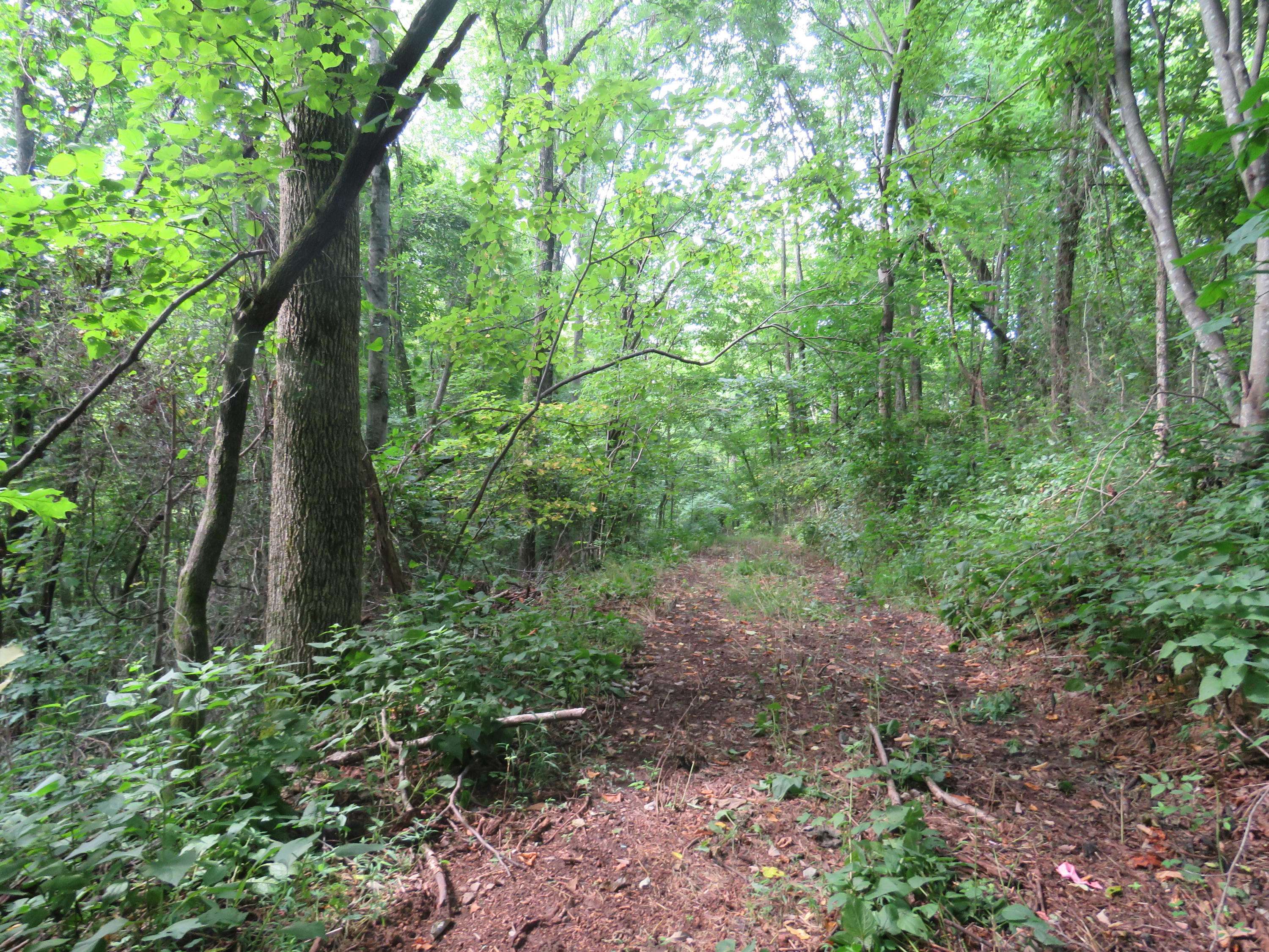 Hilham, TN 38568,18.01 AC Crabtree LN