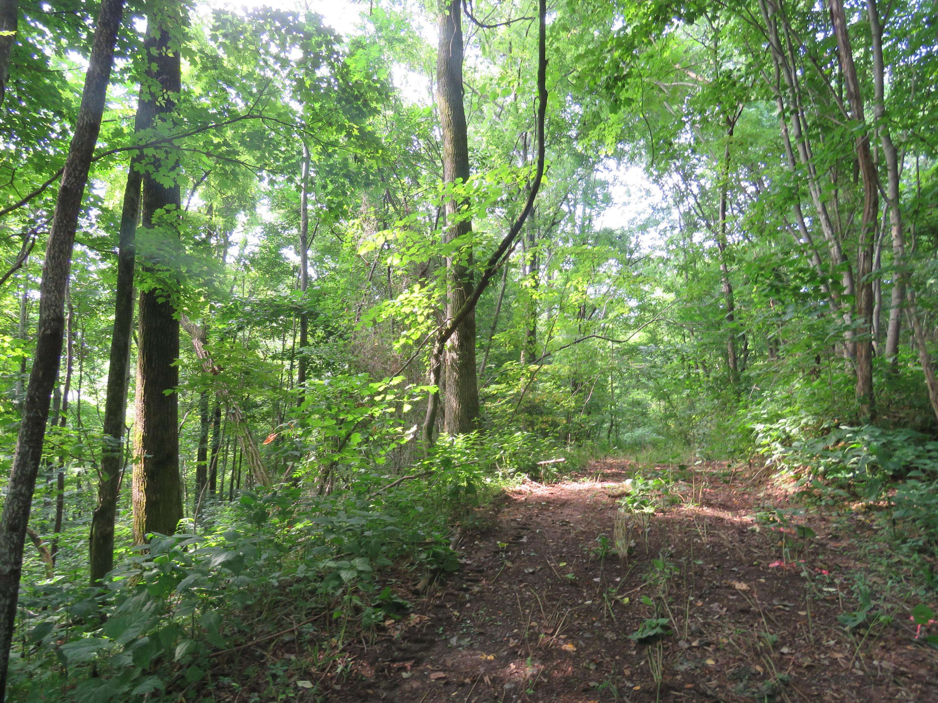 Hilham, TN 38568,18.01 AC Crabtree LN