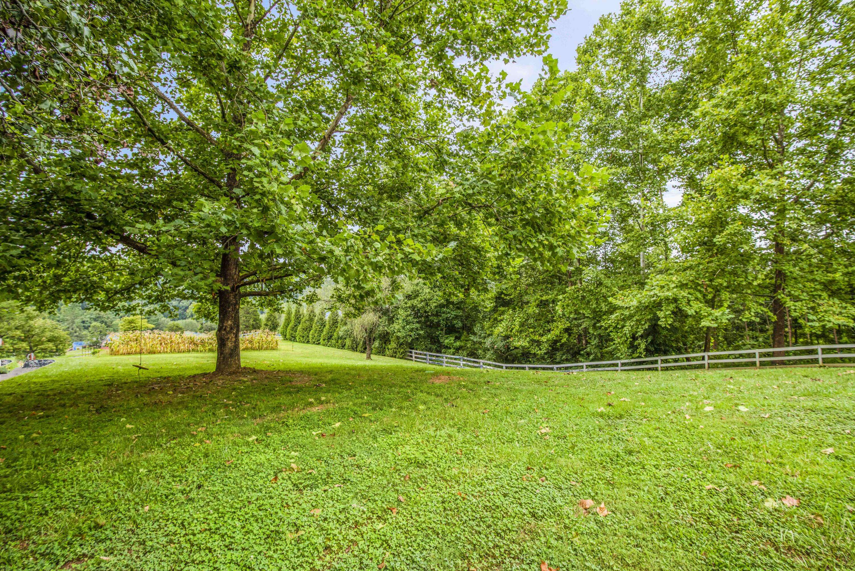 Heiskell, TN 37754,2770 Hinds Creek Rd