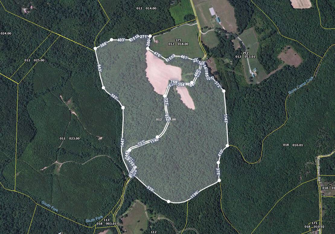 Sunbright, TN 37872,142 Acres Coon Creek Rd