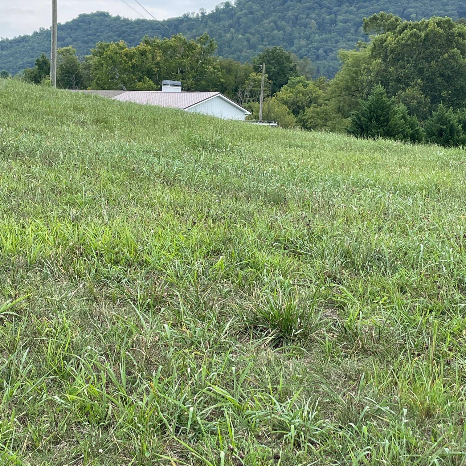 Rogersville, TN 37857,434 Webb Rd