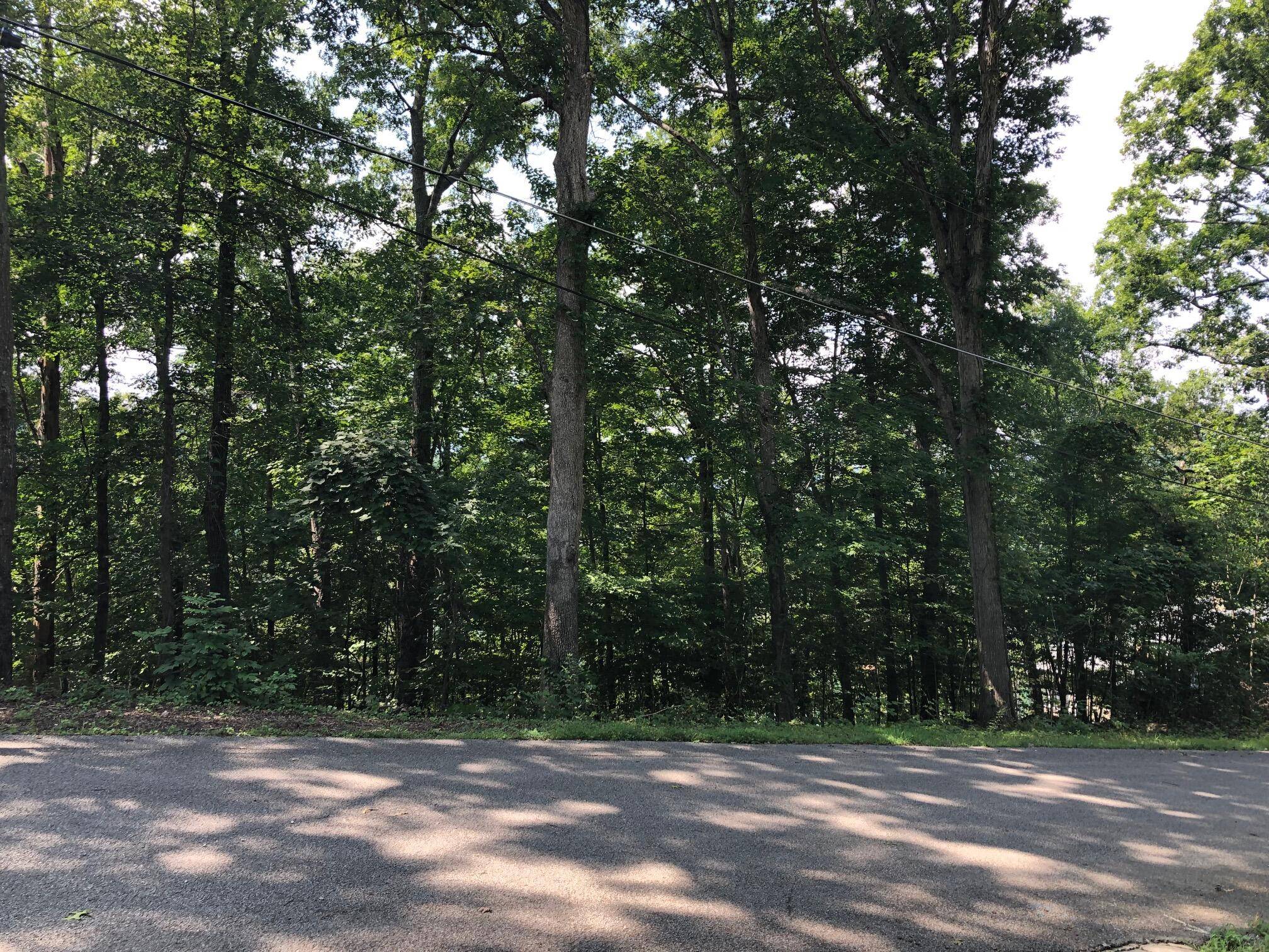 Caryville, TN 37714,Lot 24 N Shorewood LN