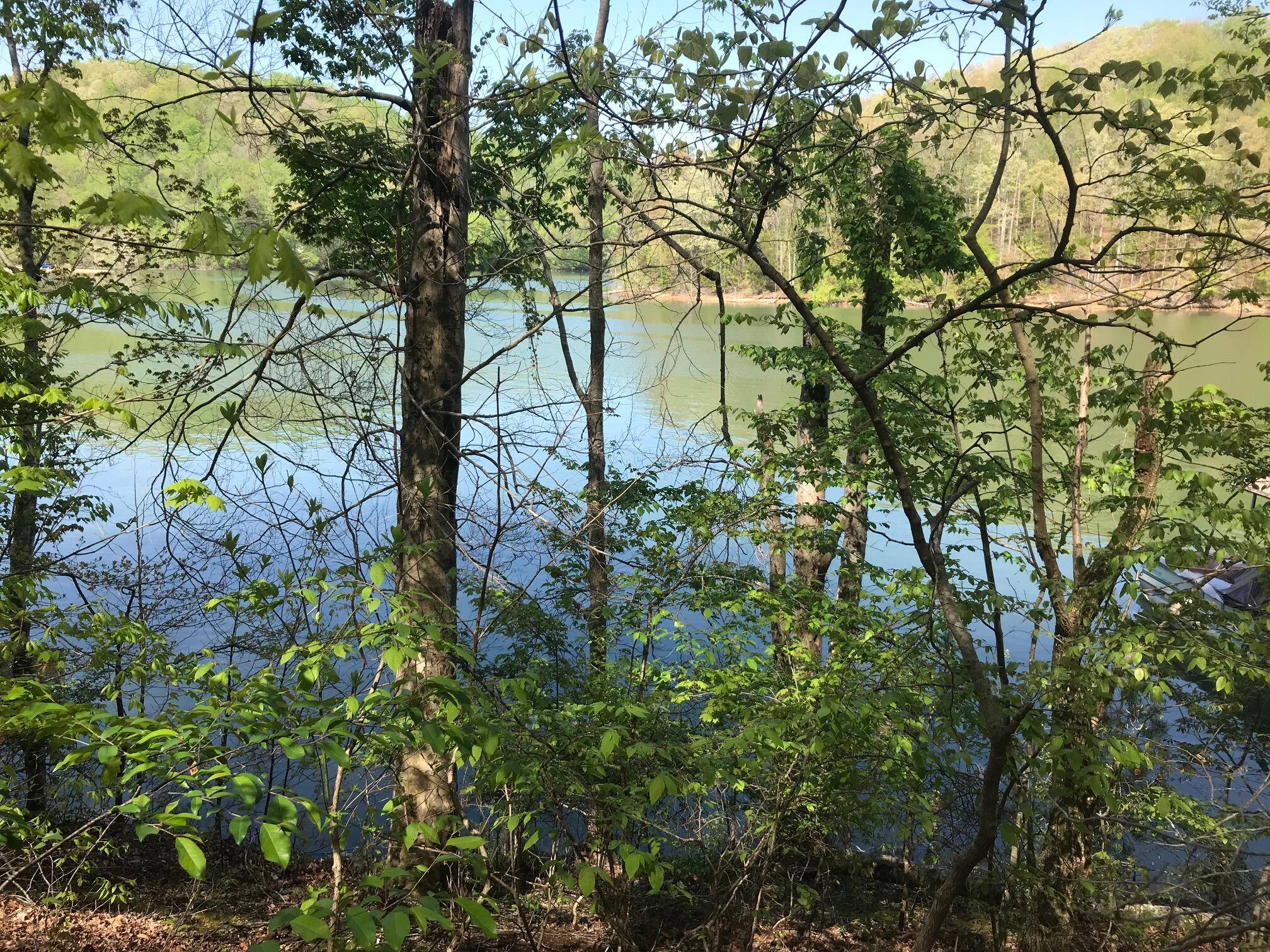 Caryville, TN 37714,Lot 24 N Shorewood LN