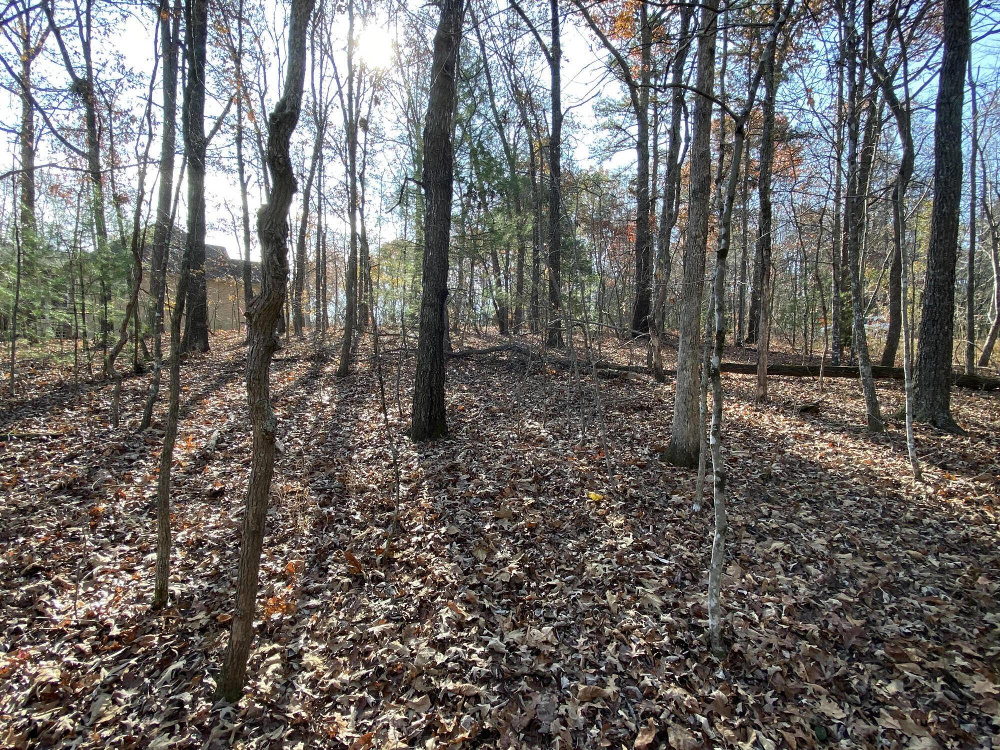 Fairfield Glade, TN 38558,150 Dalefield LOOP