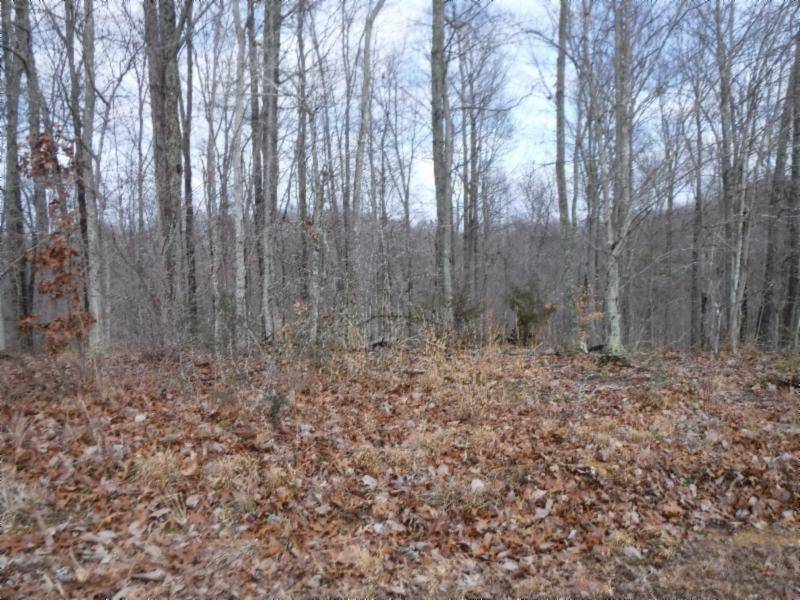 Hilham, TN 38568,Lot 18 Western WAY