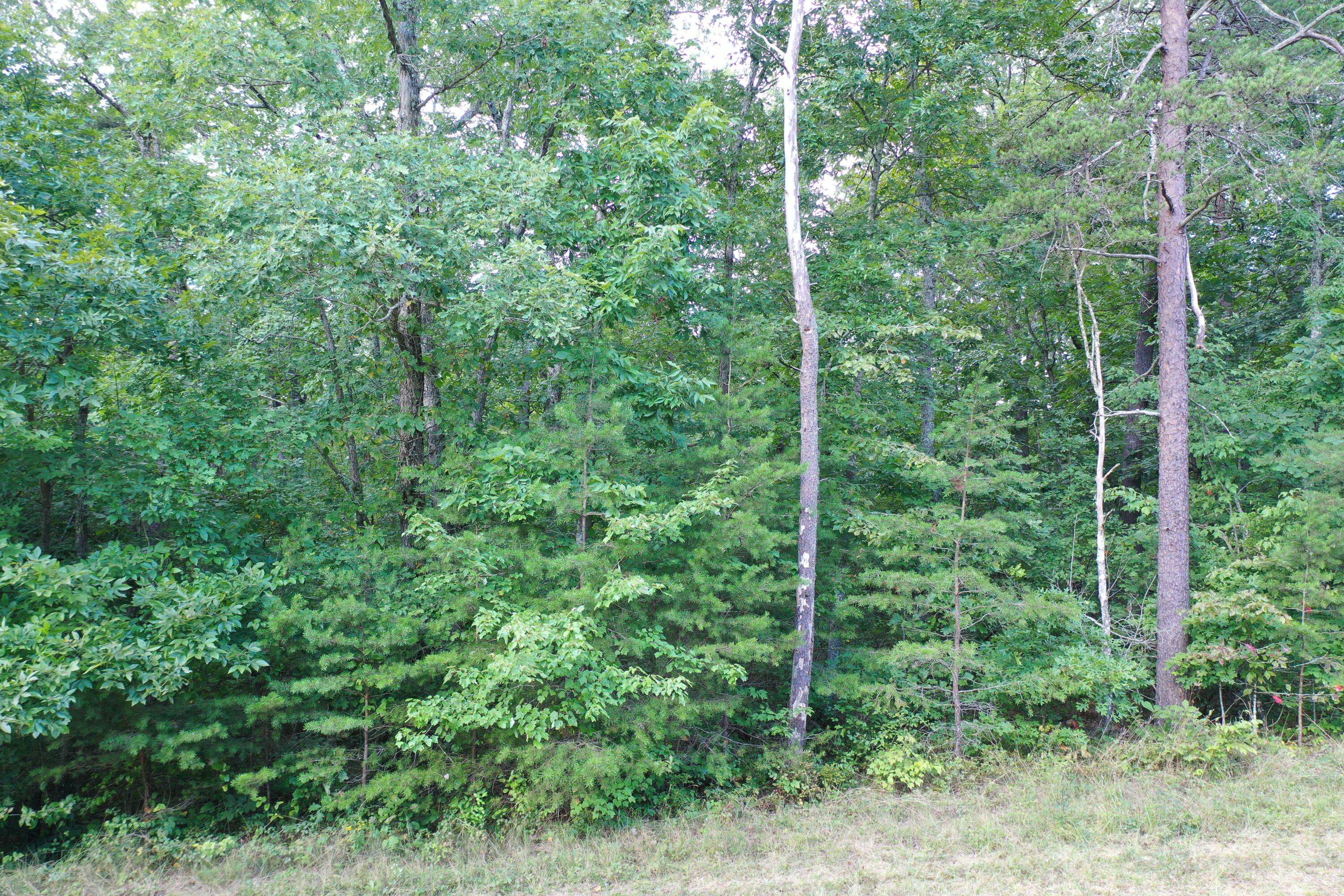 Clarkrange, TN 38553,Spear Head CIR