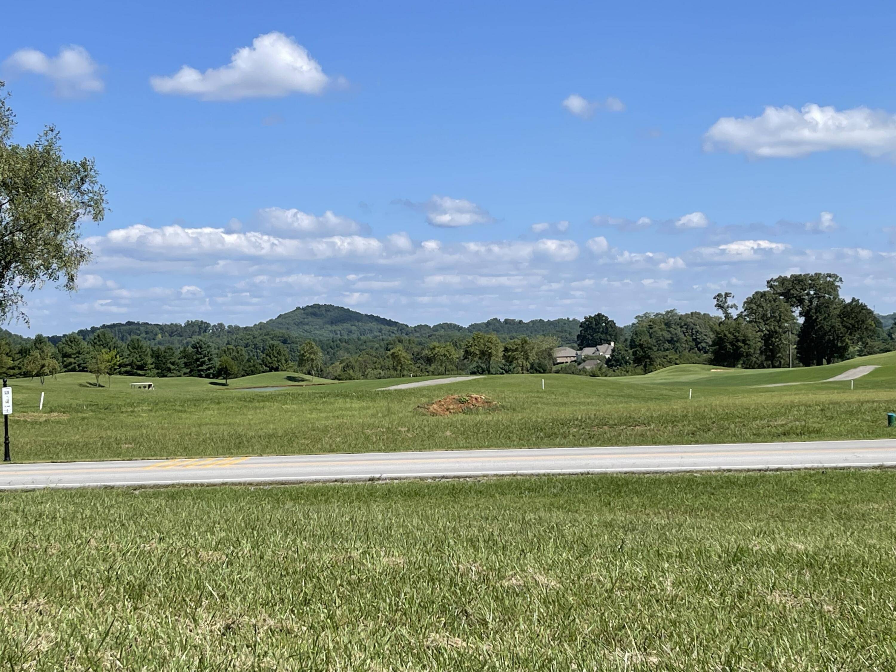 Vonore, TN 37885,161 Goldfinch lot 458 Pkwy