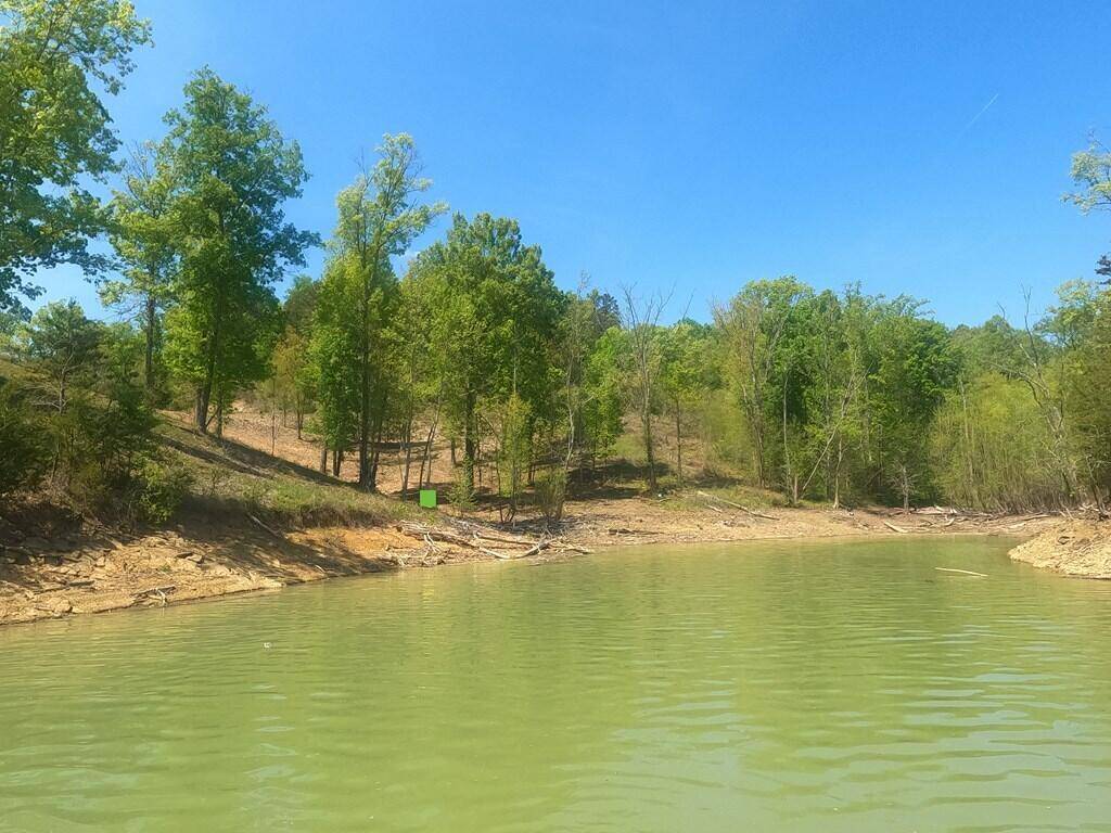 Dandridge, TN 37725,Lot 44 Stone Harbor DR