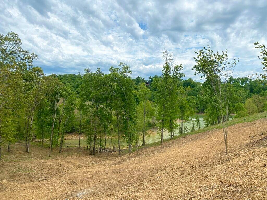 Dandridge, TN 37725,Lot 44 Stone Harbor DR