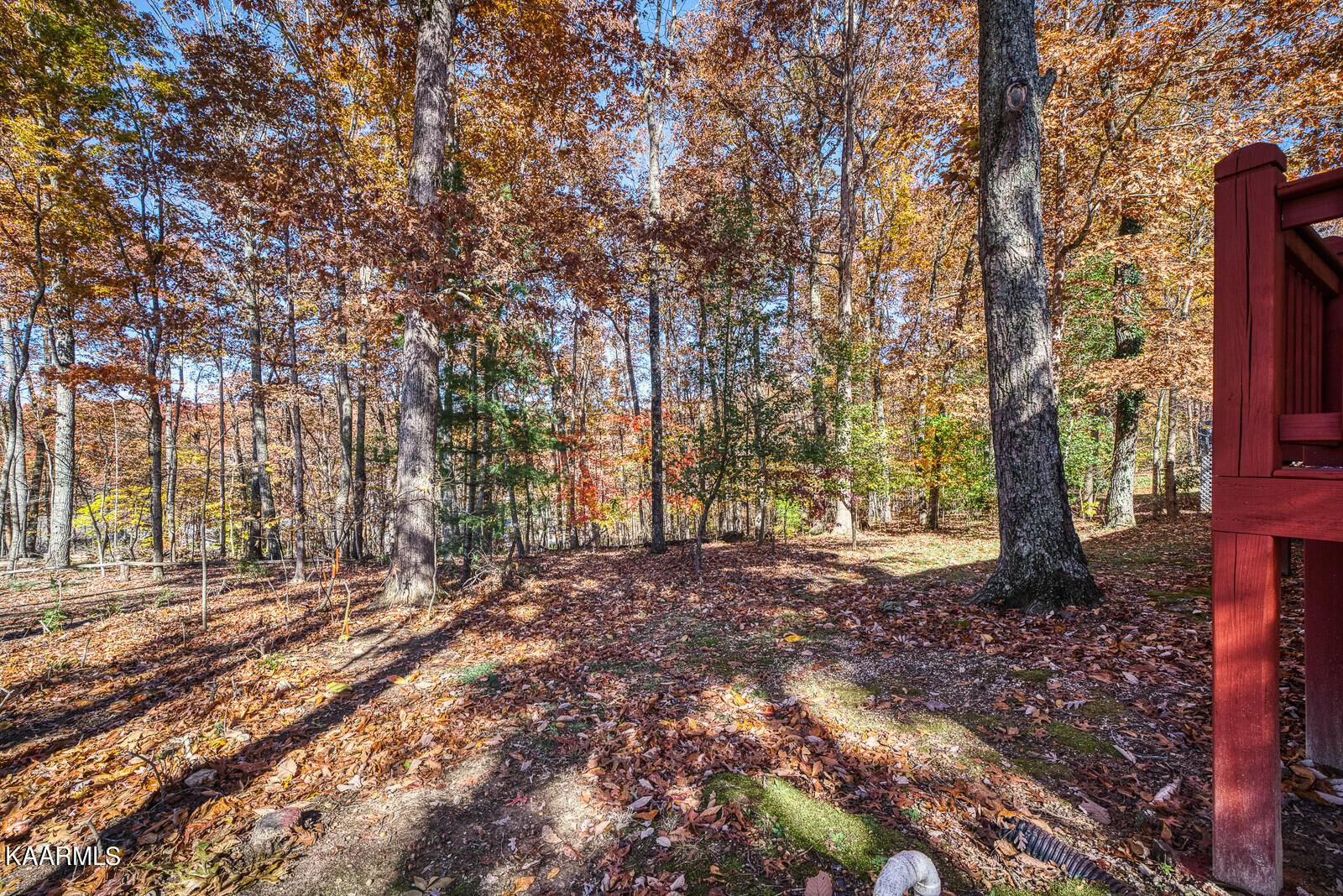 Fairfield Glade, TN 38558,243 Lakeview DR